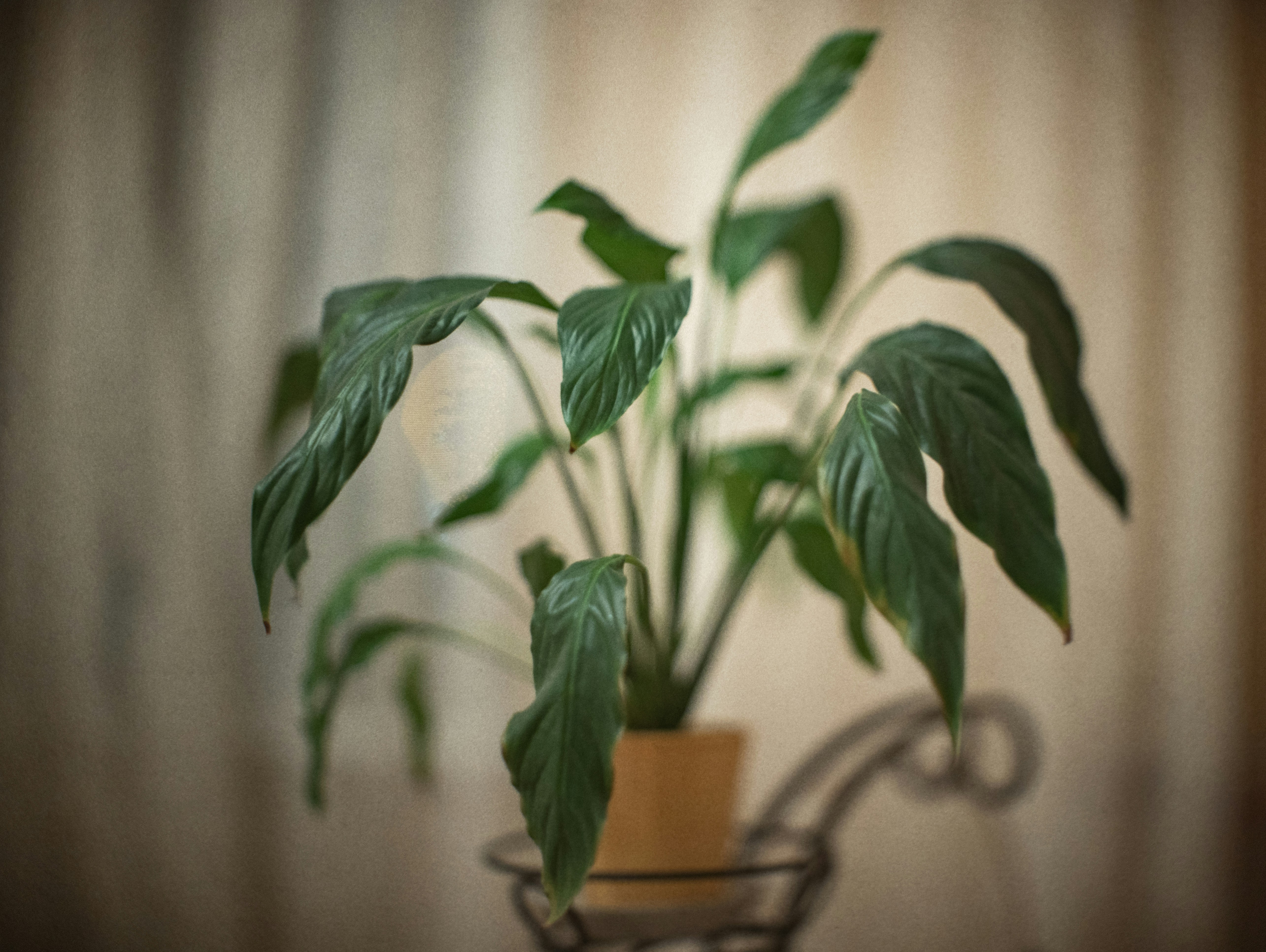 Photo by andrilliardbond