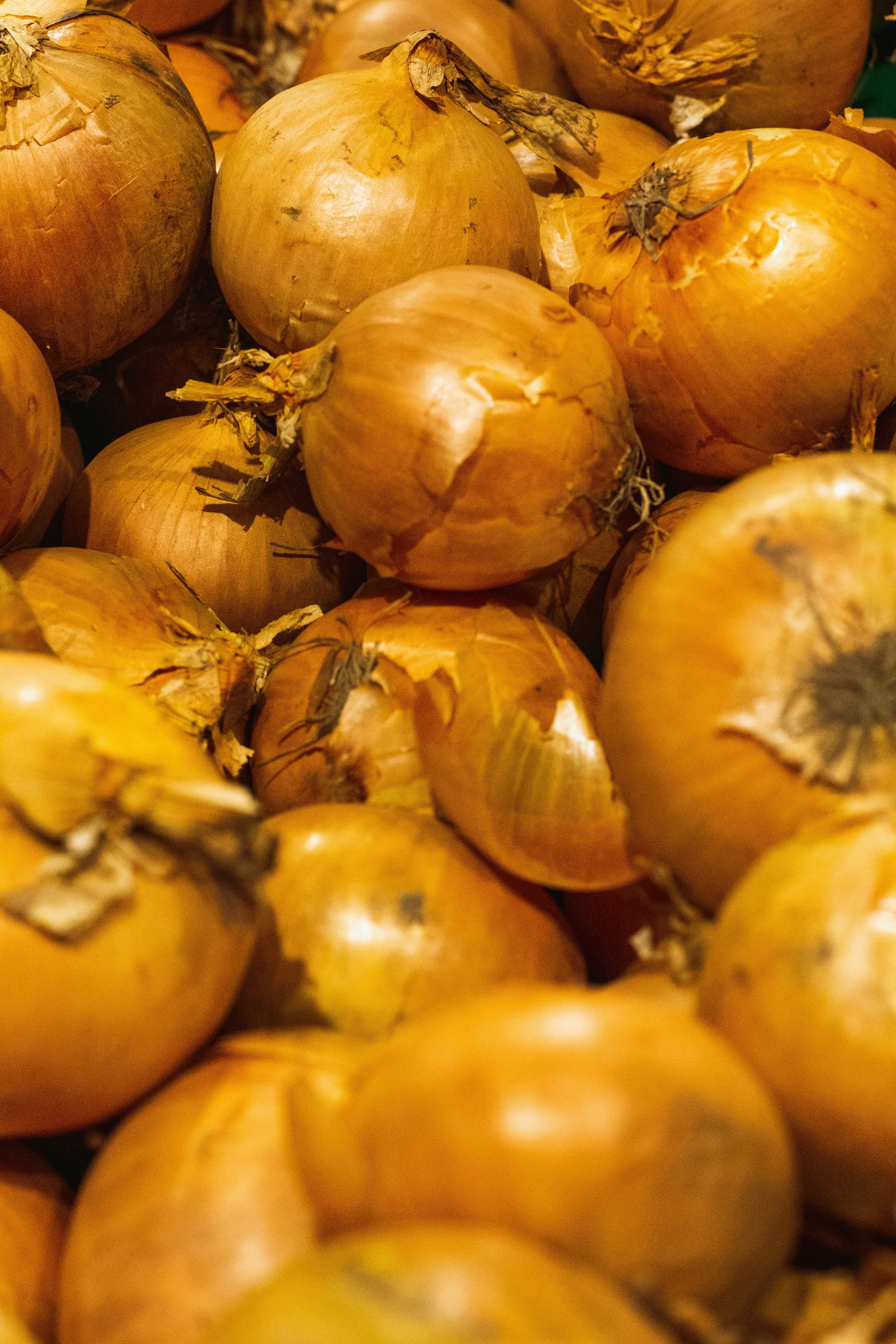 Photo by maciejka_dslr