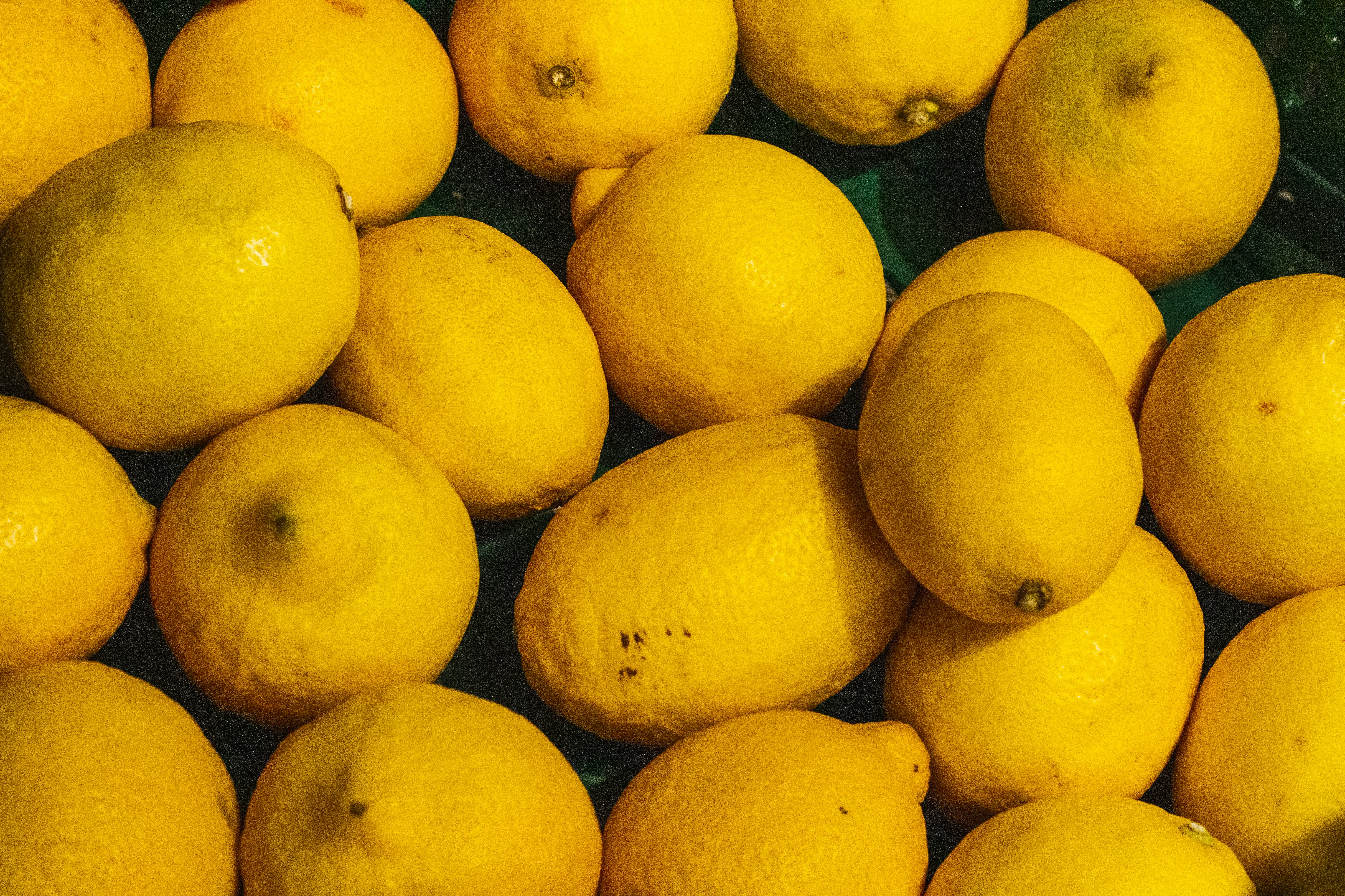 Photo by maciejka_dslr