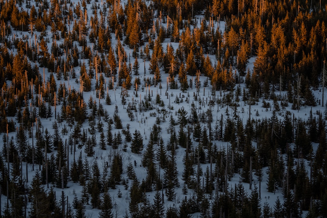 community photo