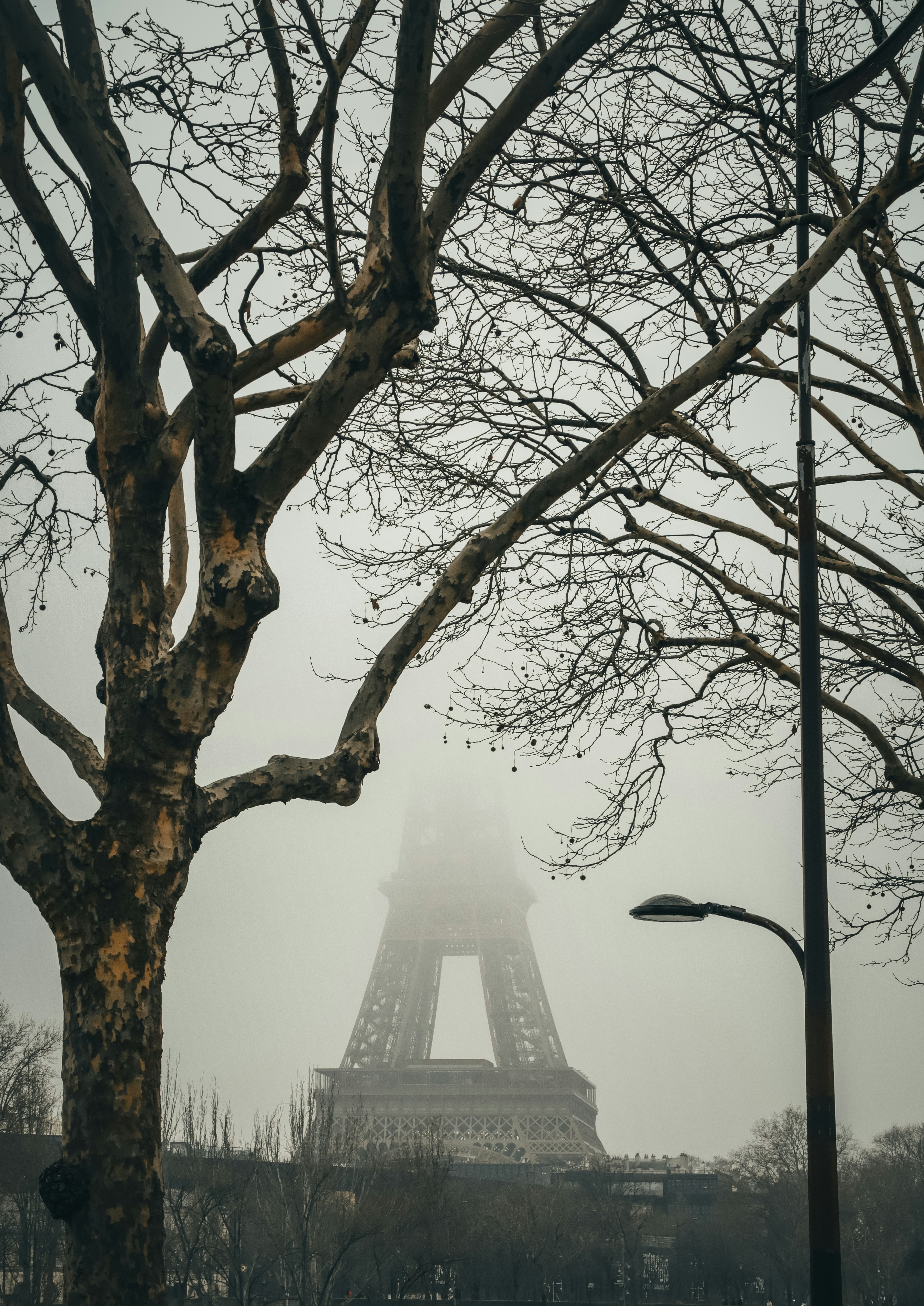 A foggy view of the eiffel tower in paris photo – Free Paris Image on ...