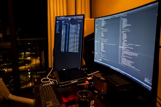 A man sitting in front of a computer monitor