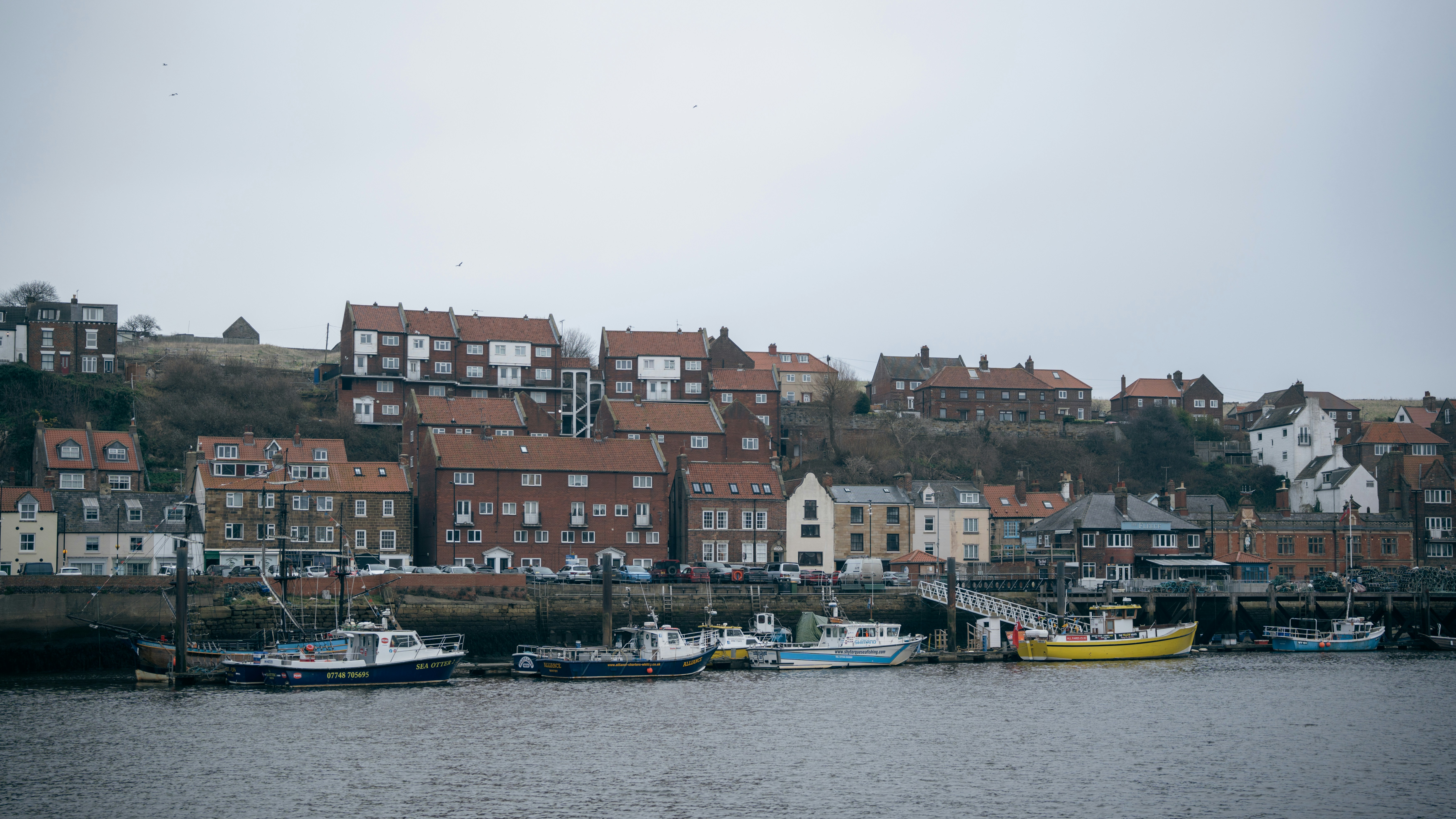 수역 위에 떠 있는 한 무리의 보트