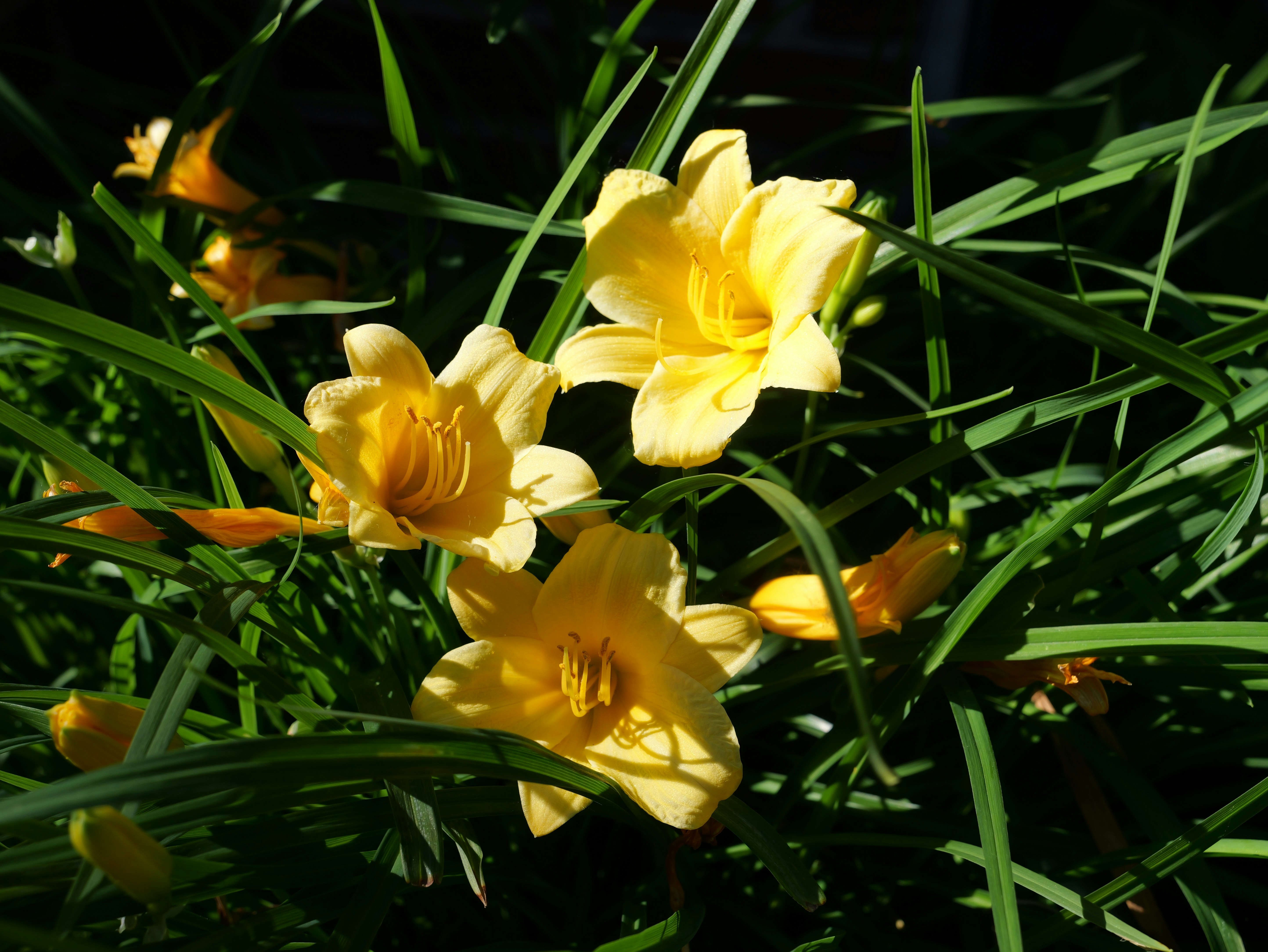 Photo by karonthompson