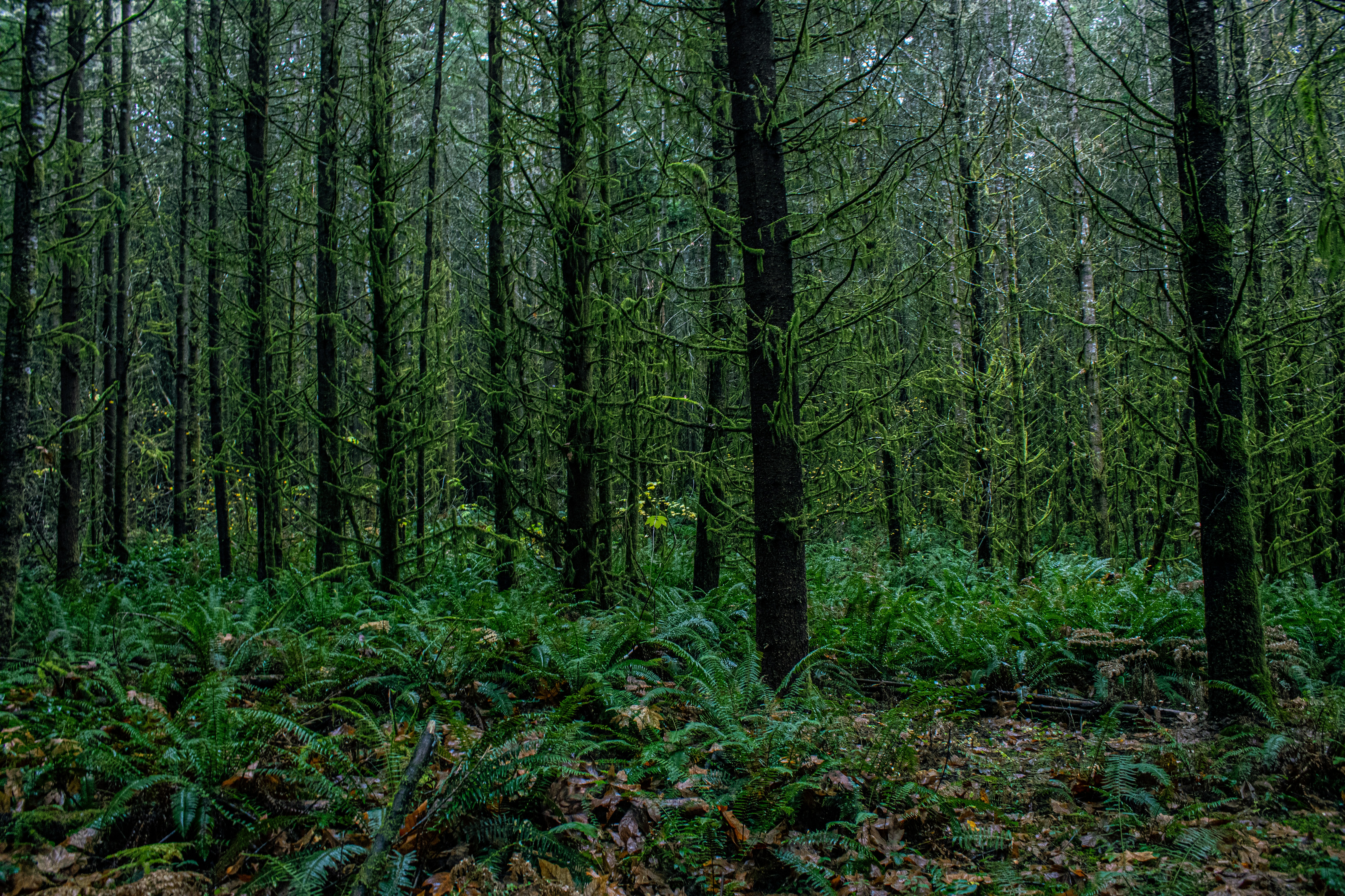 Photo by prphotography262