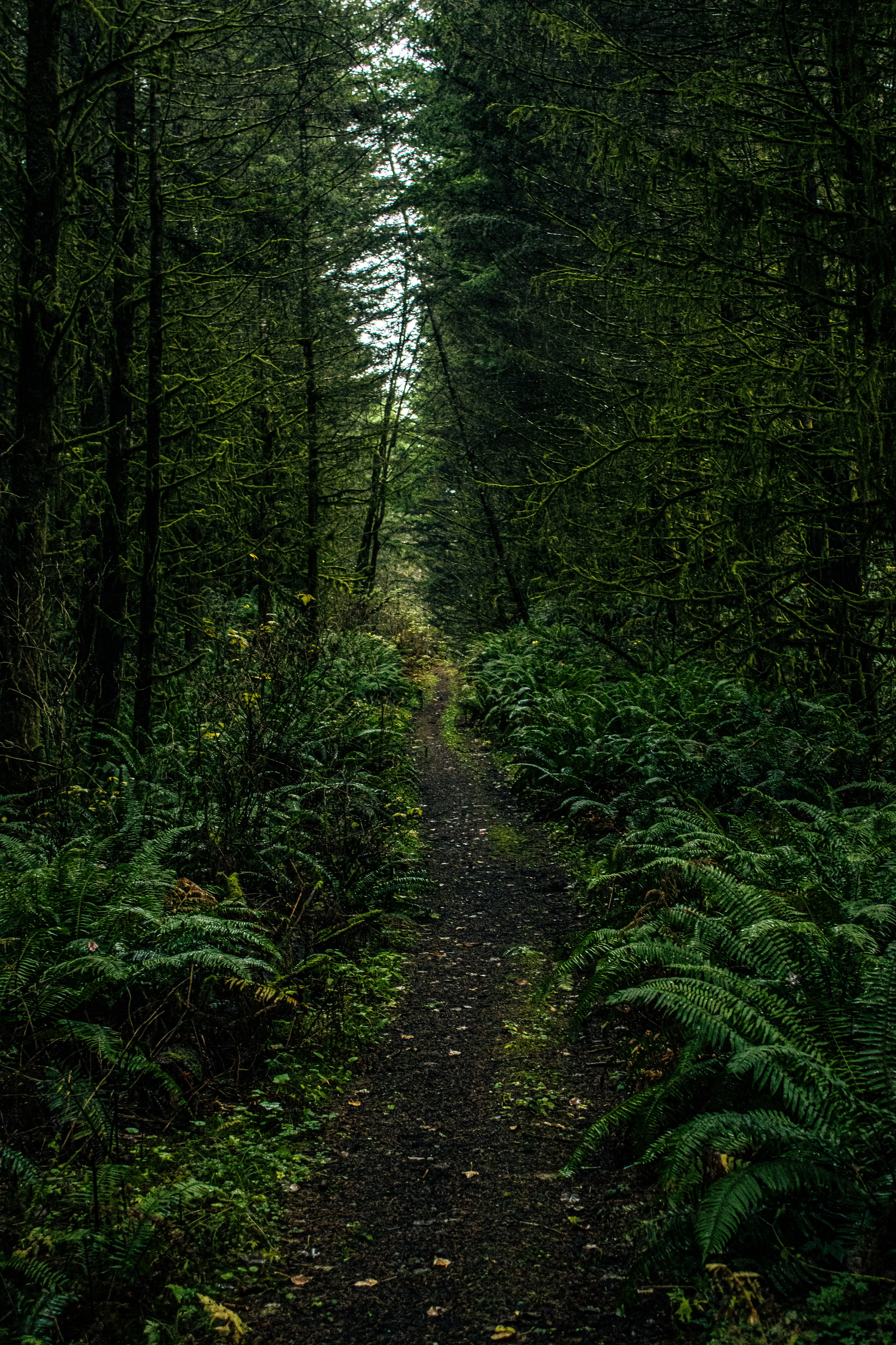 Photo by prphotography262