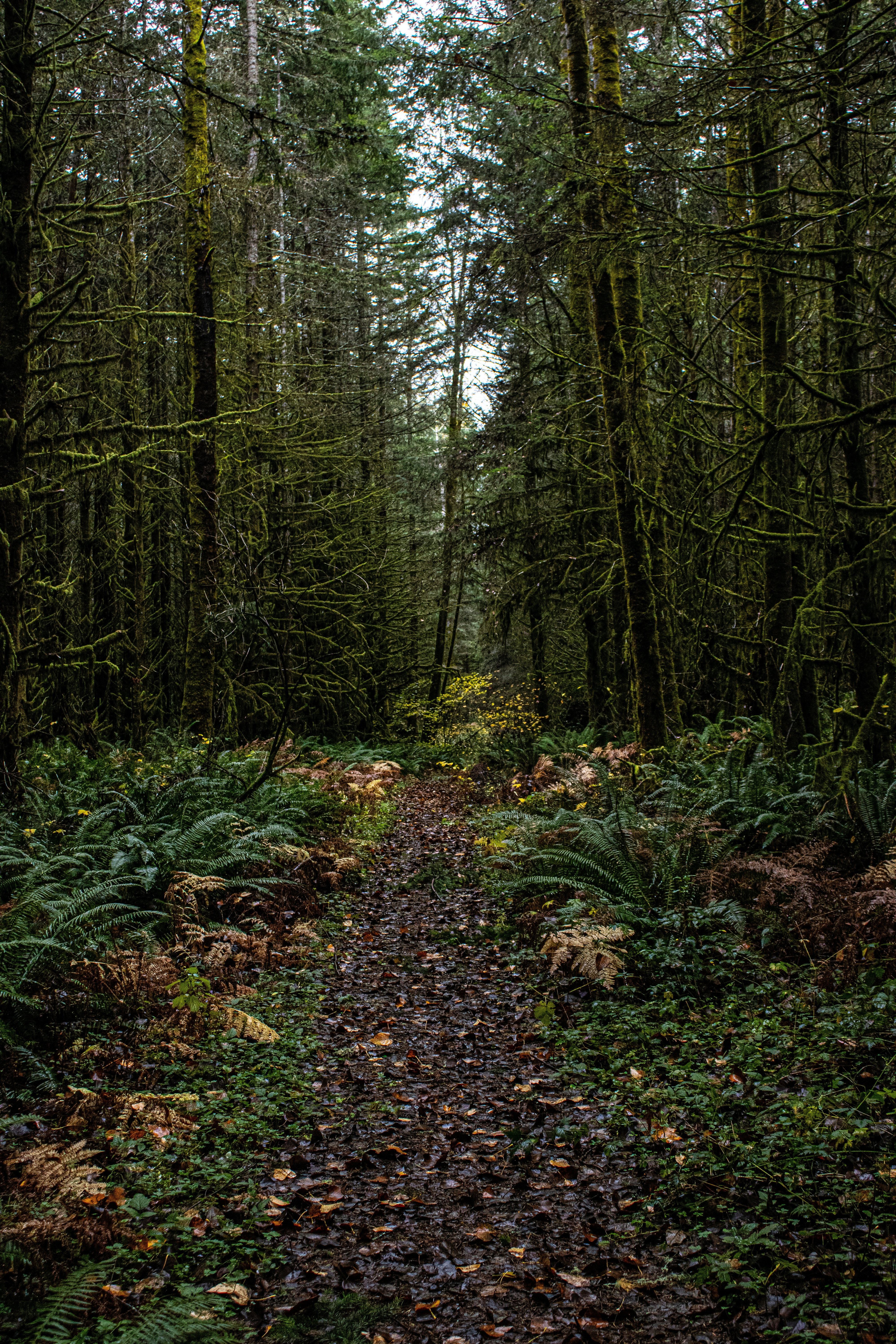 Photo by prphotography262