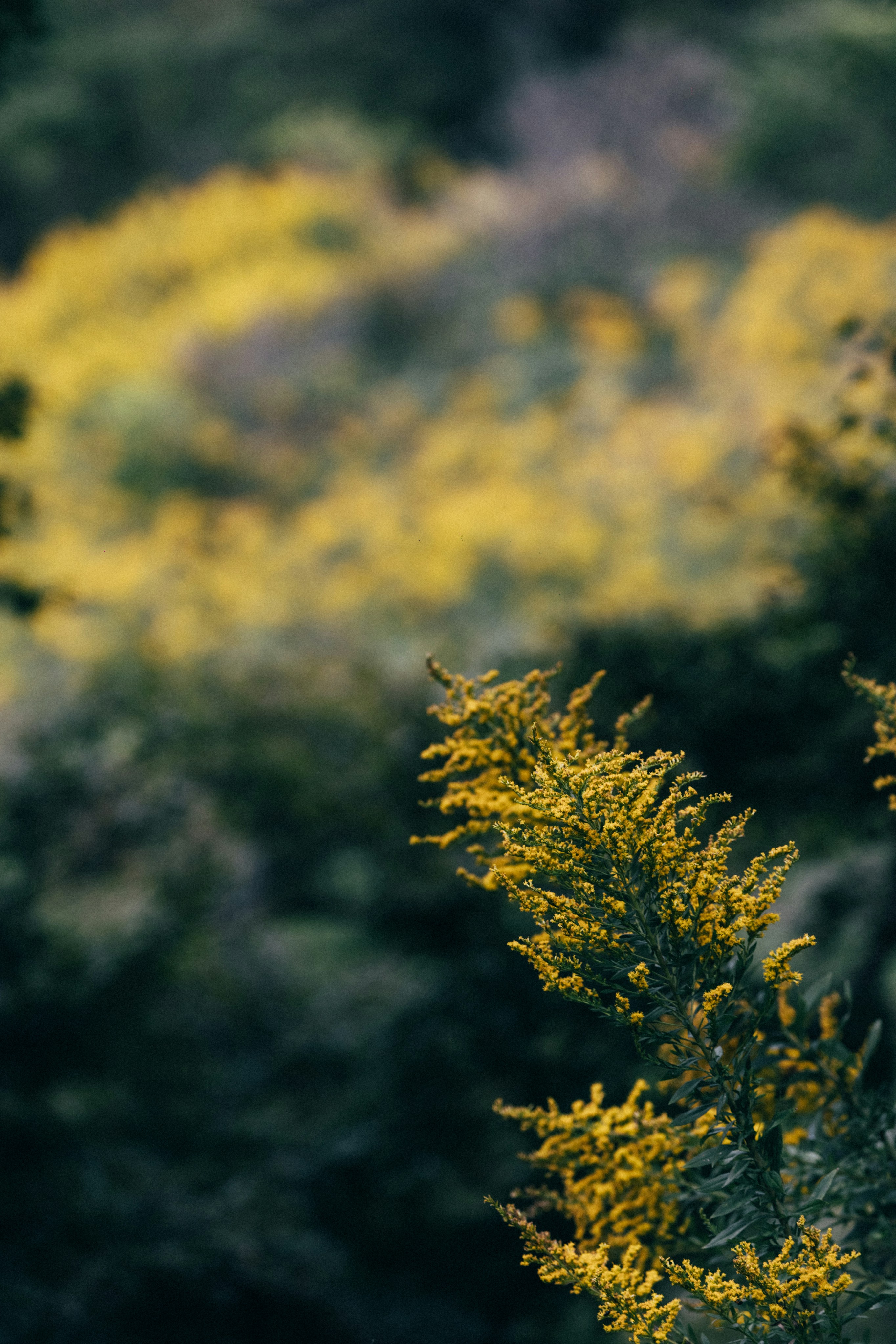 Photo by tsuyoshikozu