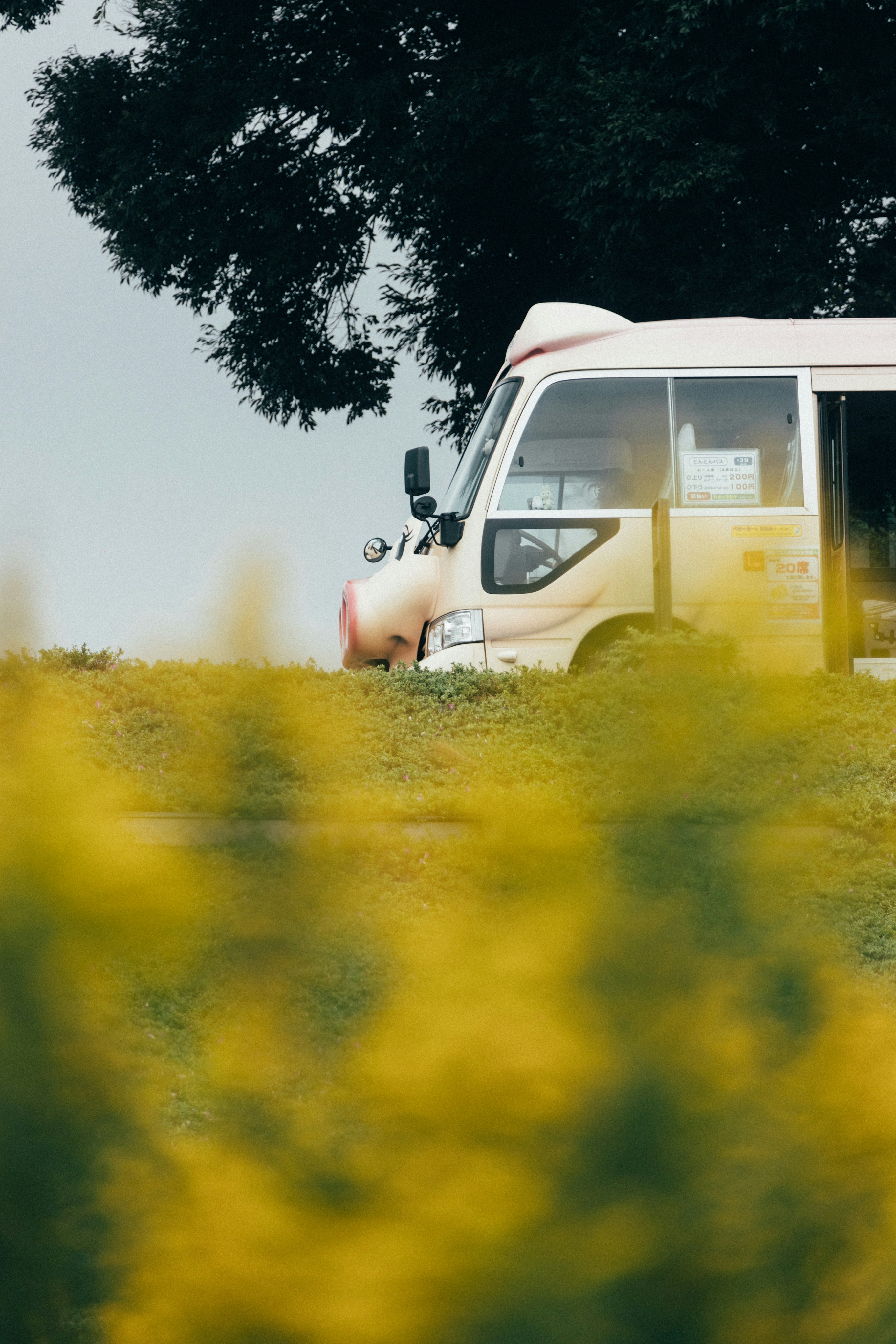 Photo by tsuyoshikozu