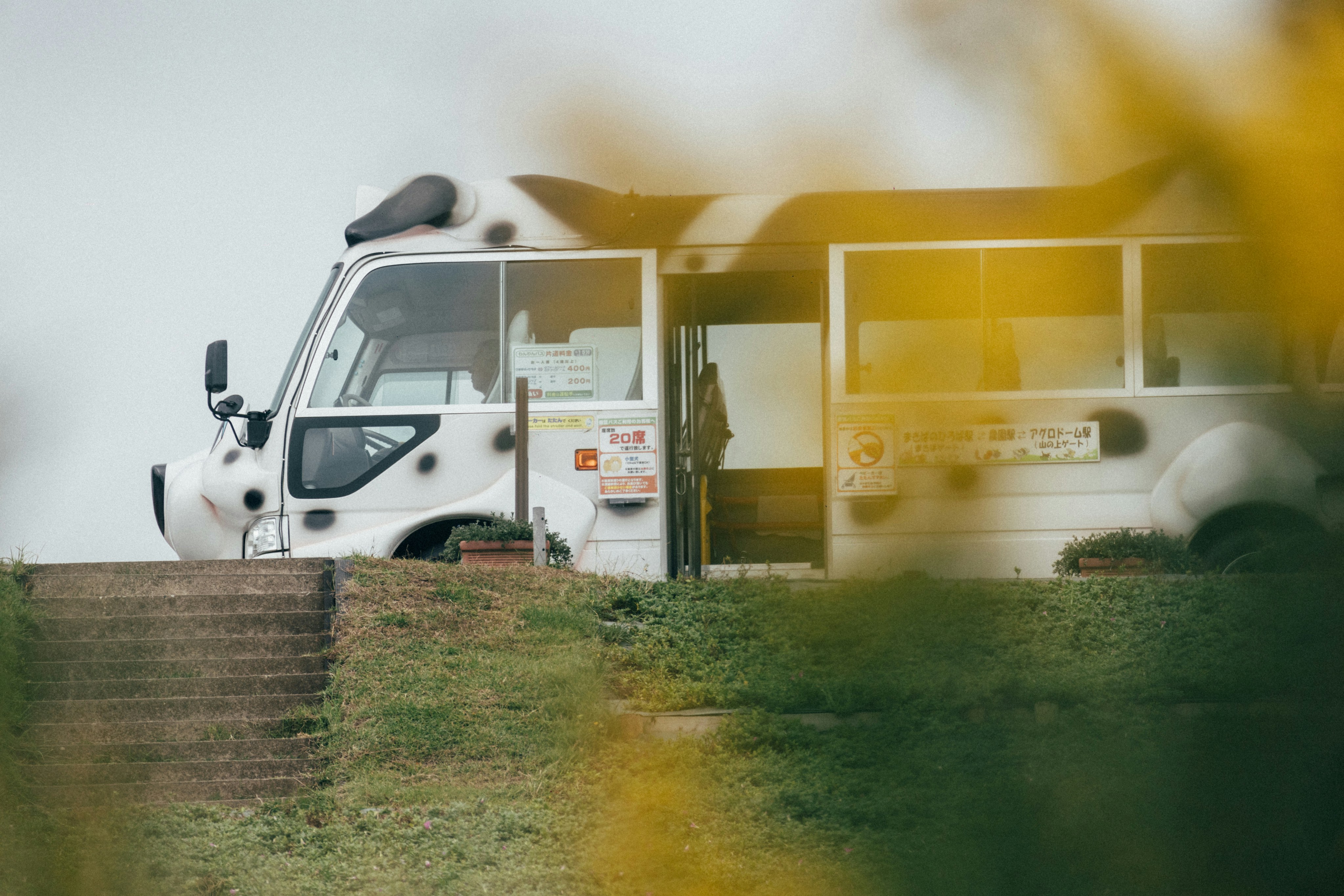 Photo by tsuyoshikozu