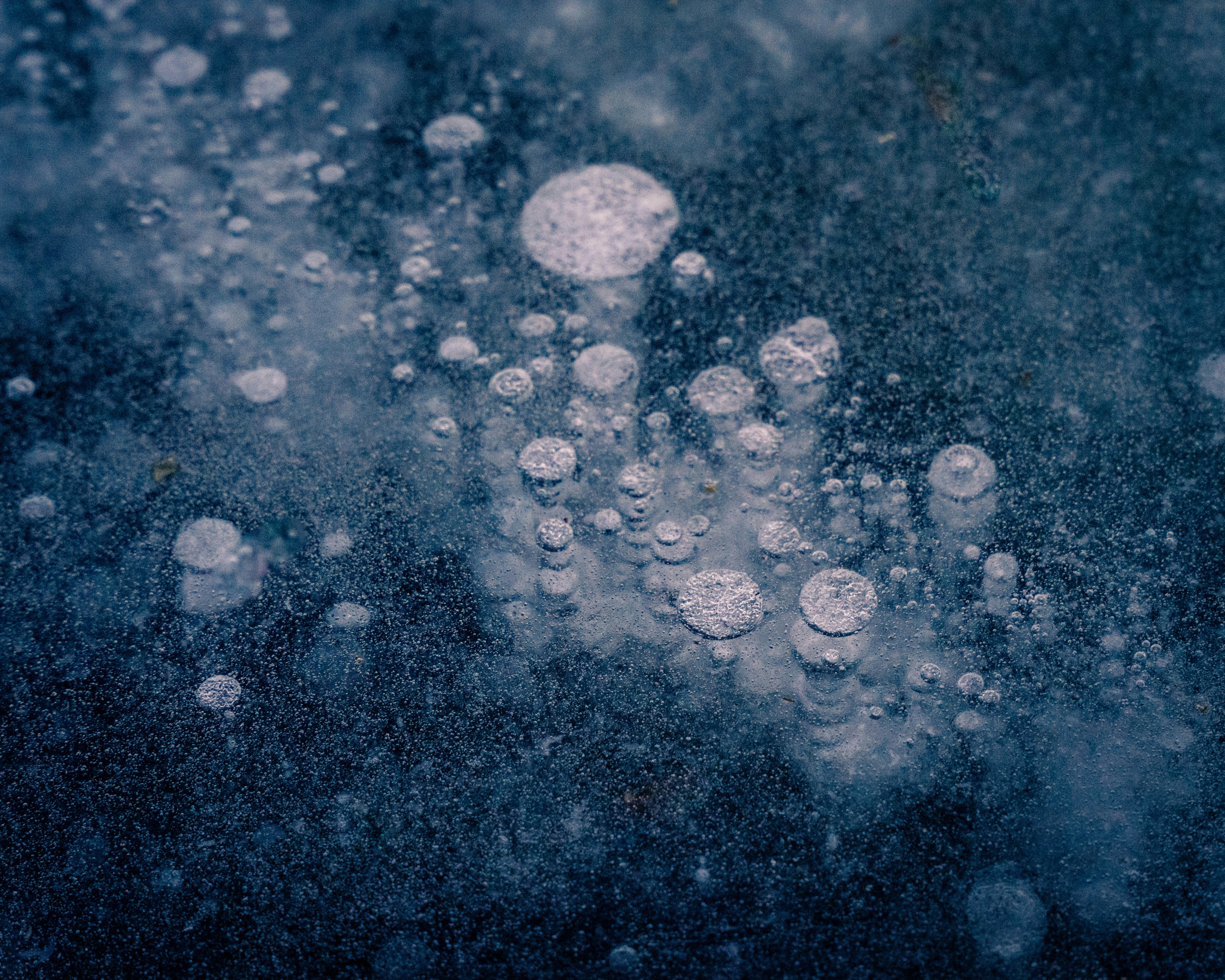 Photo by davidzumpephotography