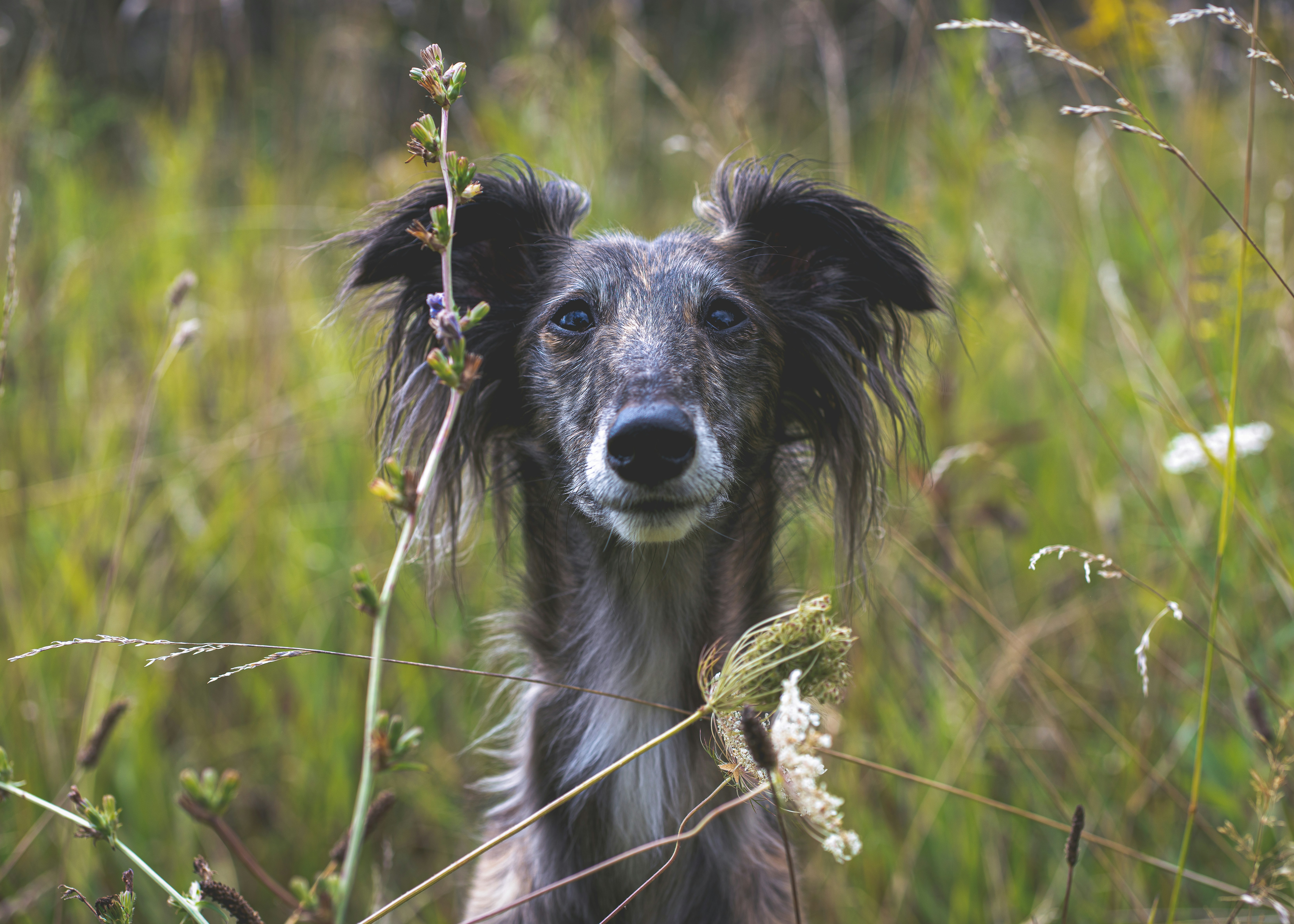 Photo by bugsandslugs