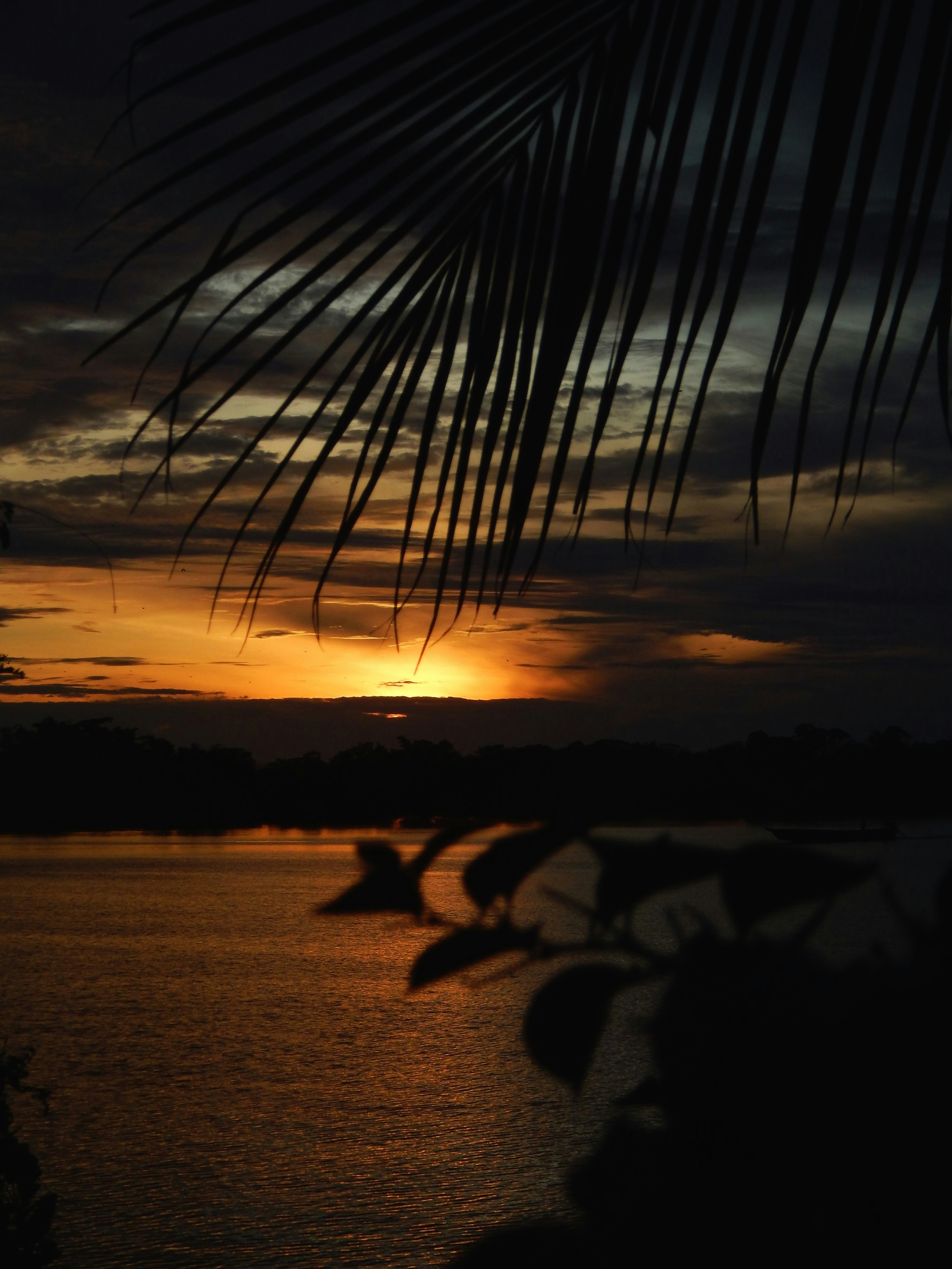 Photo by scarlettweiss