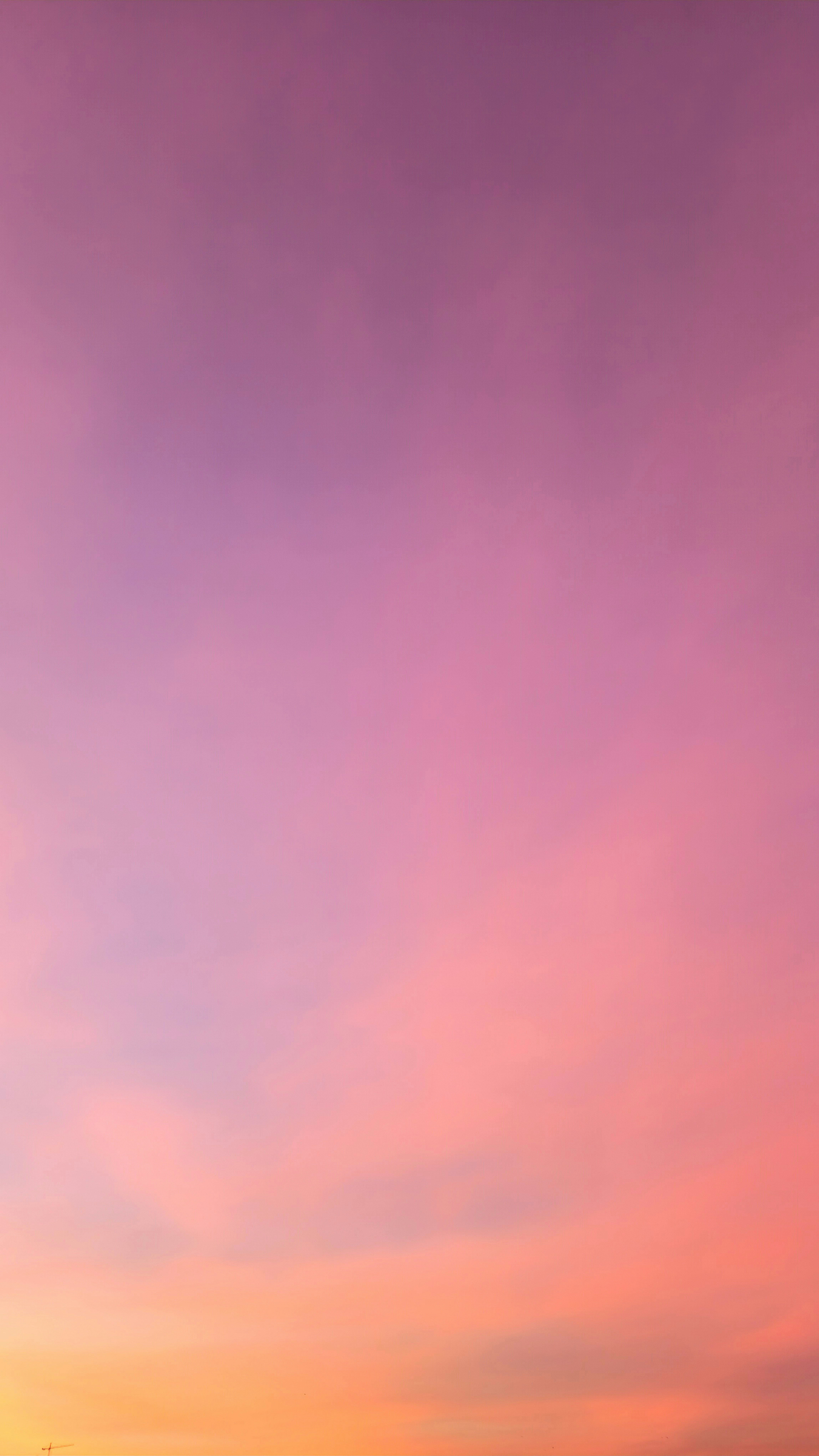 A person standing on a beach at sunset