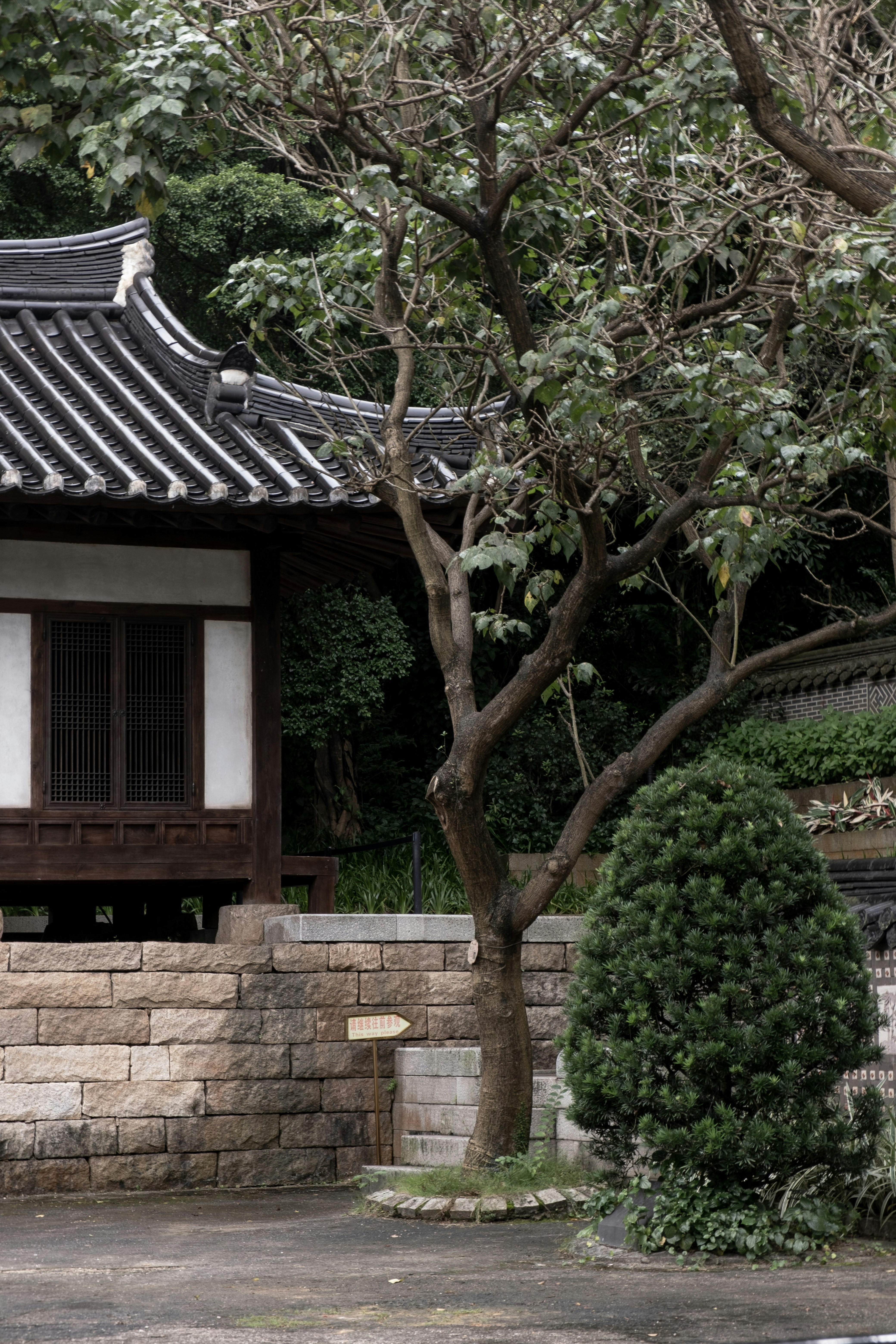 Photo by neonwangphotography