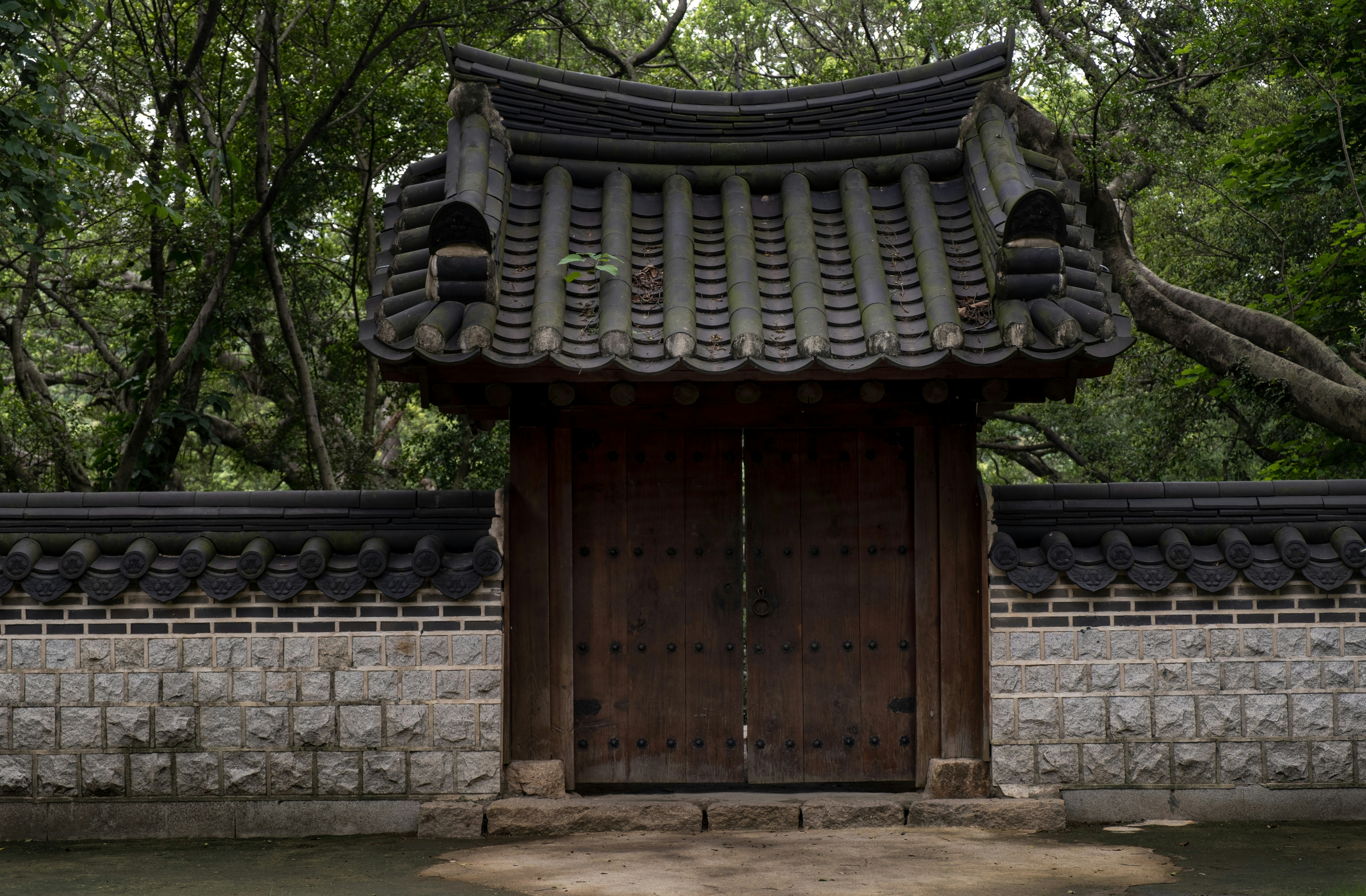 Photo by neonwangphotography