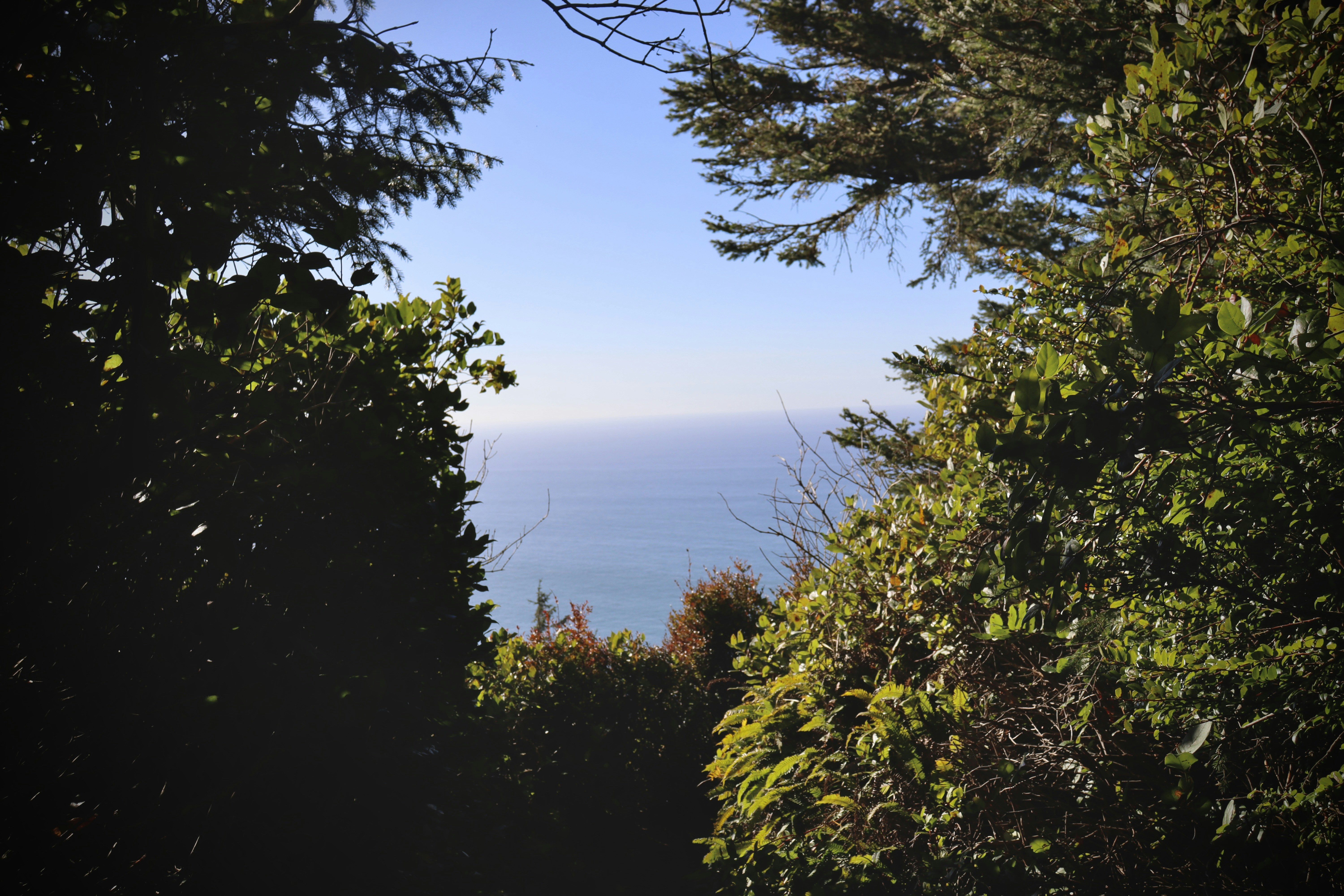 Photo by josh3rsmith