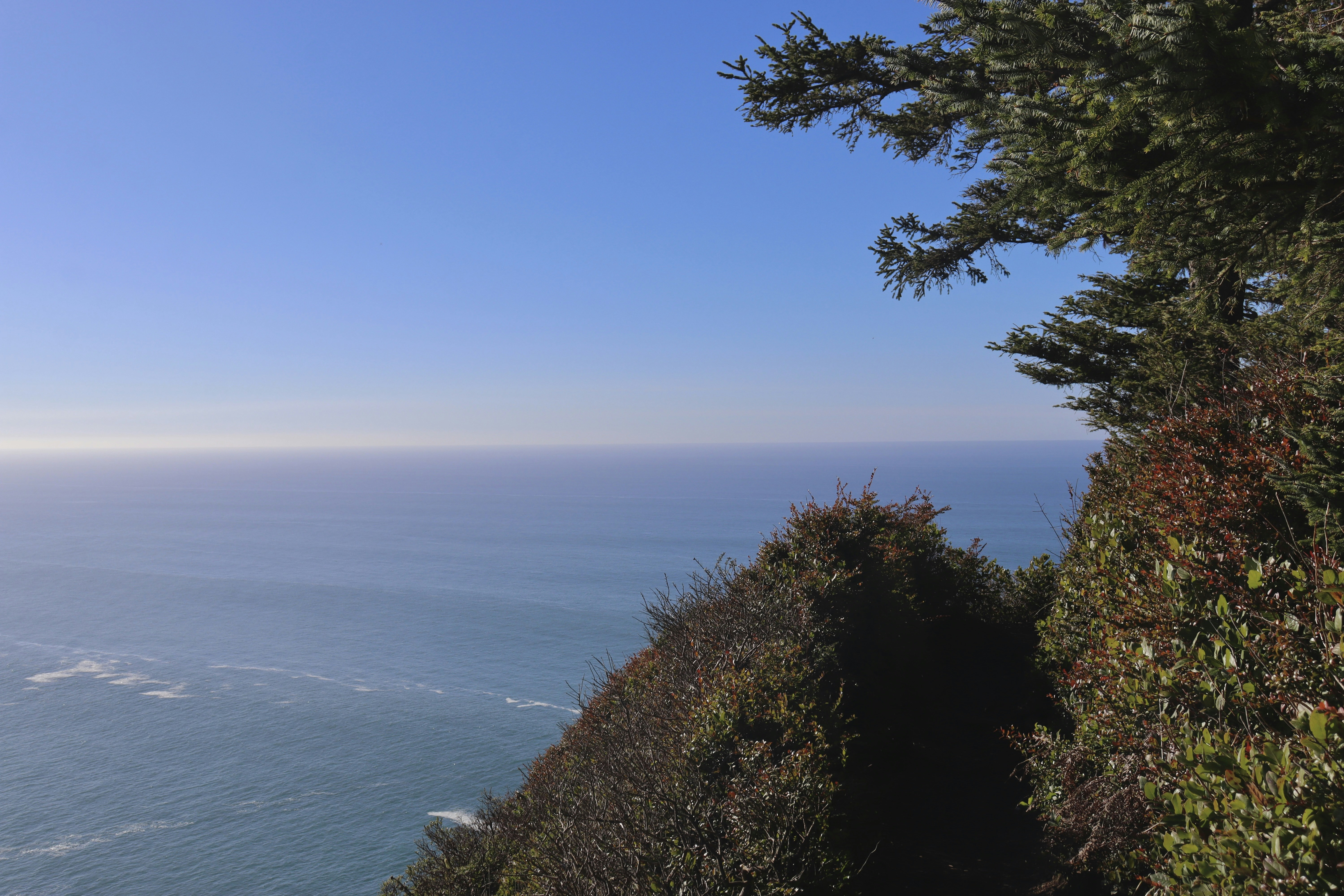 Photo by josh3rsmith