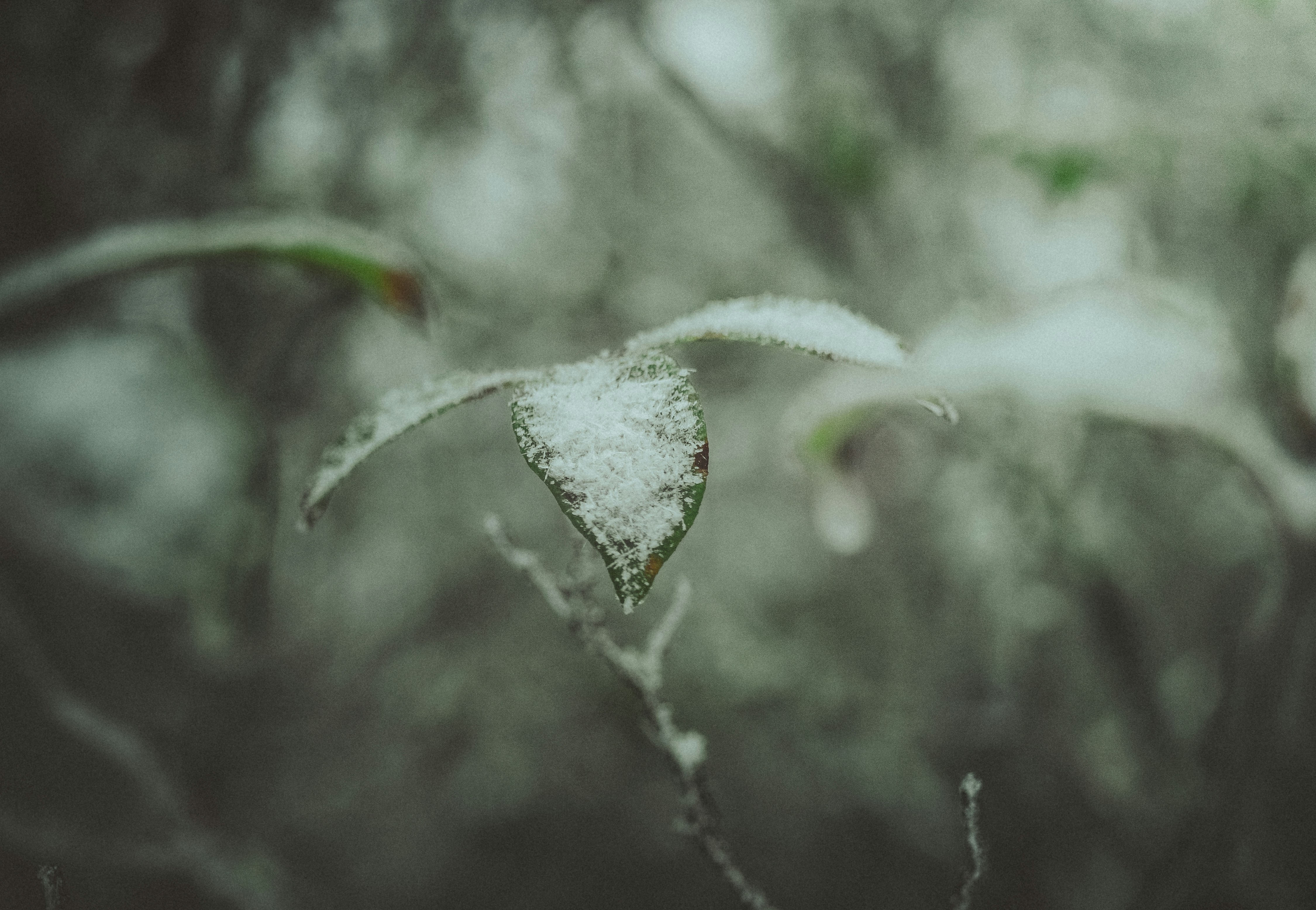 Photo by dylan_michaud