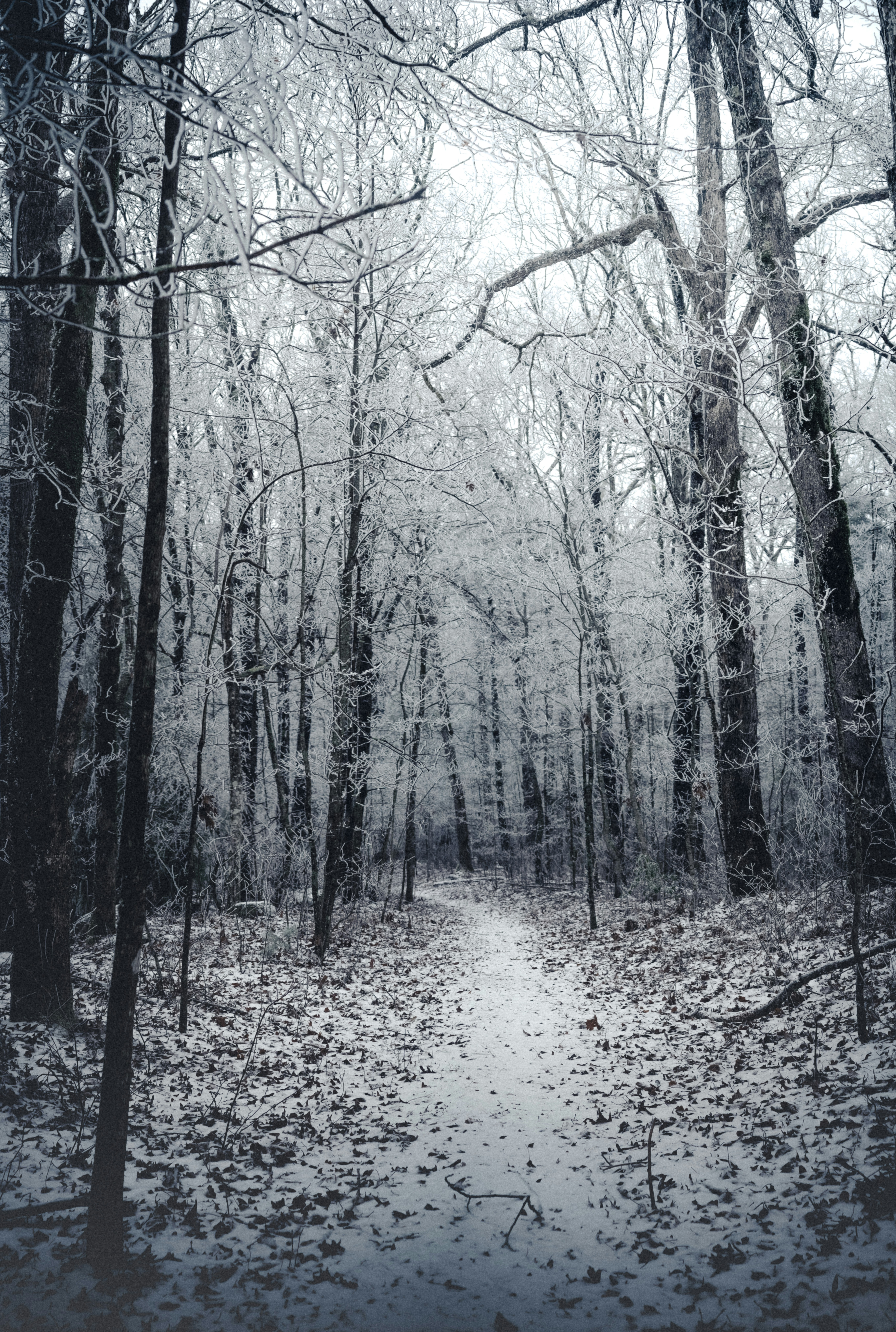 Photo by dylan_michaud