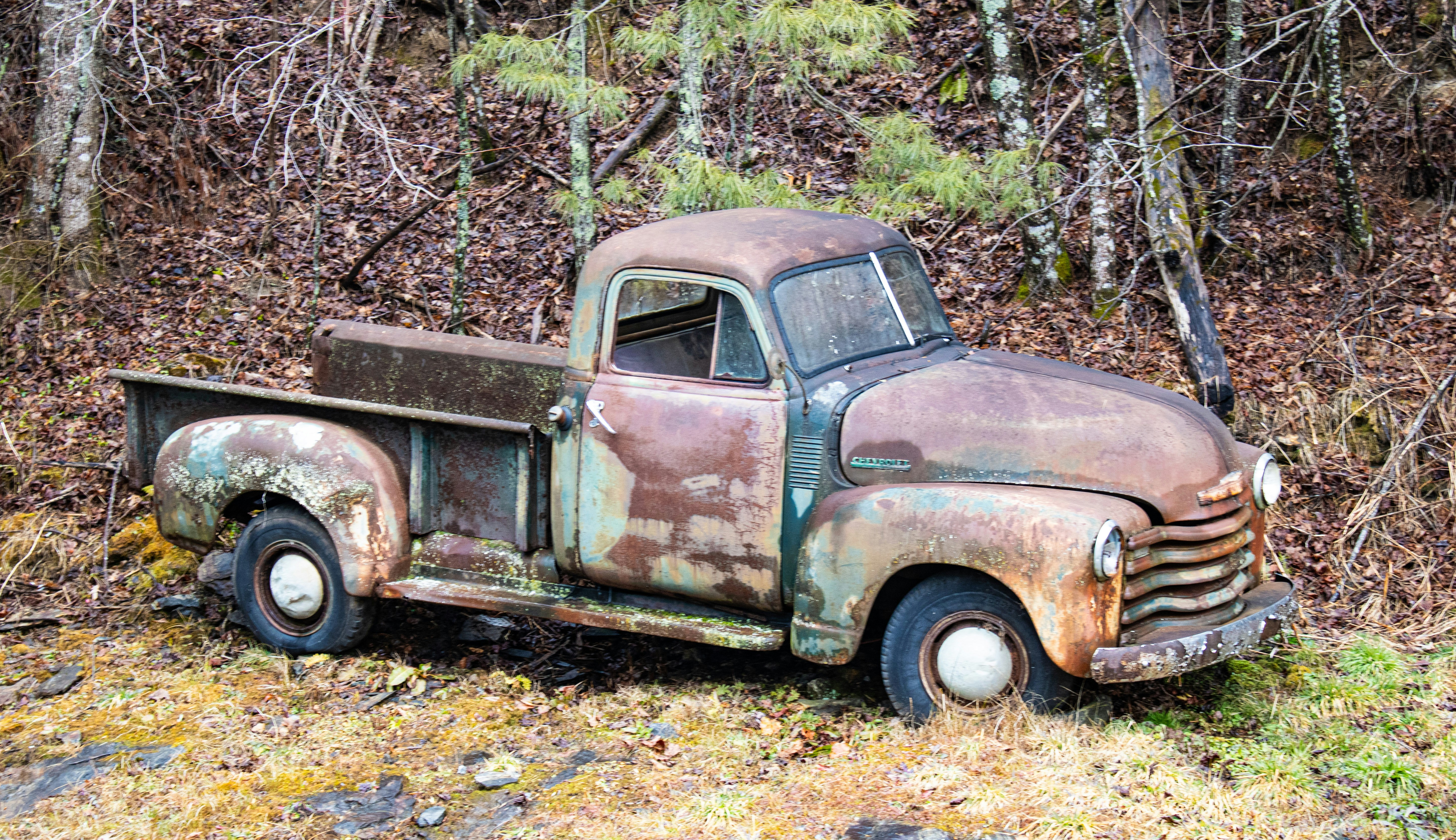 Photo by ronaldacrow