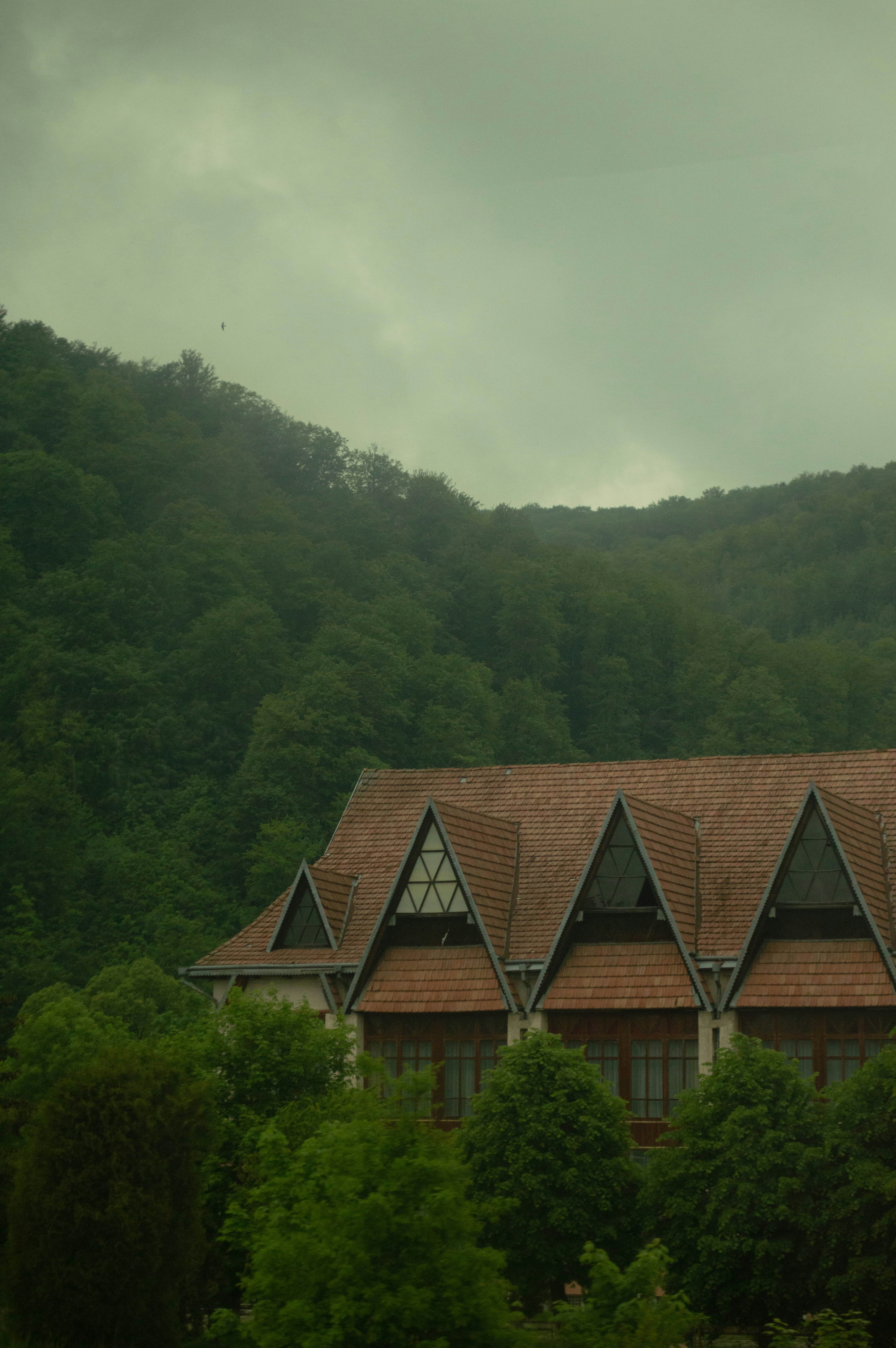 A house with a brown roof surrounded by trees