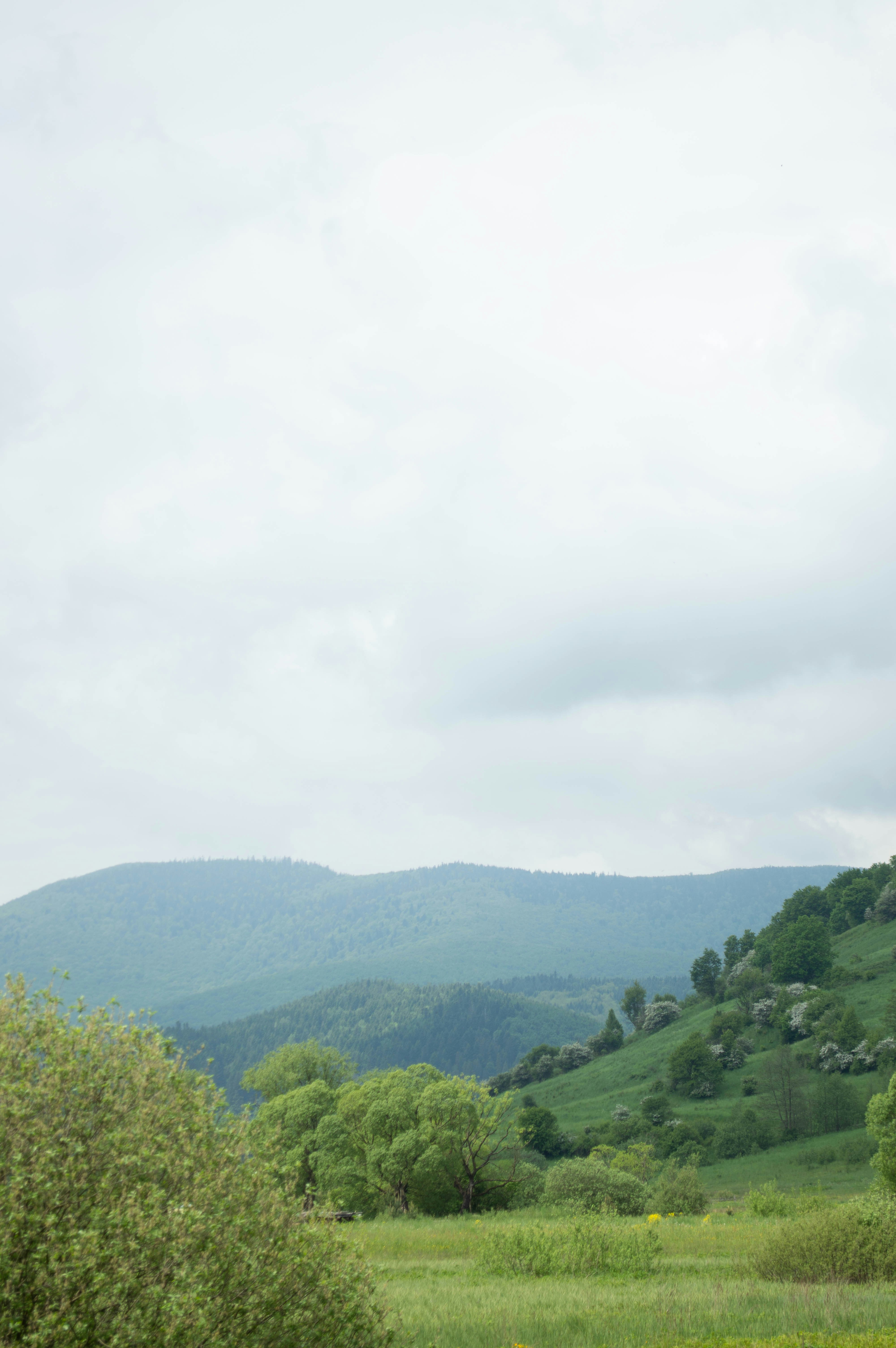 Photo by dmytrodovgan