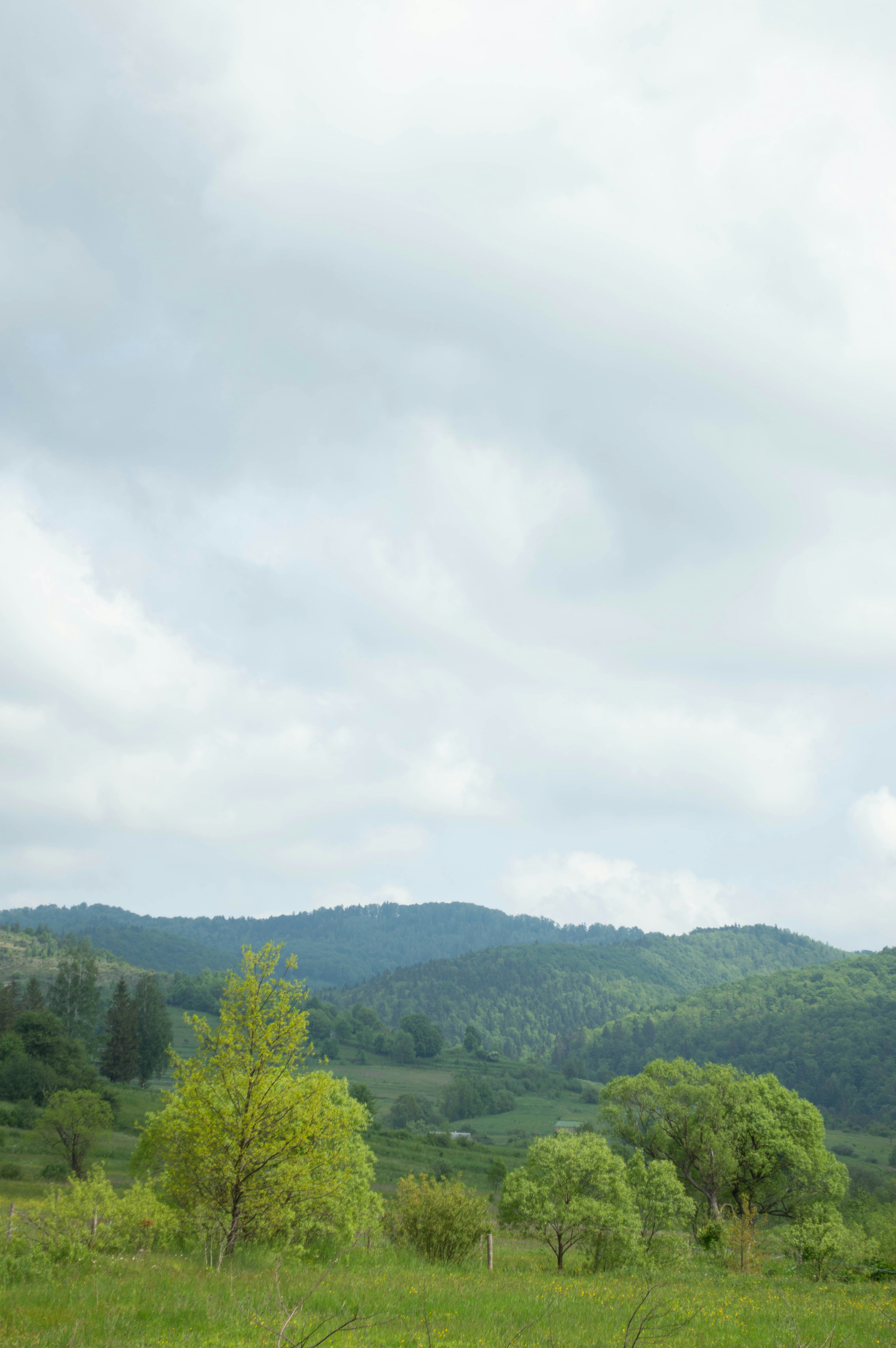 Photo by dmytrodovgan