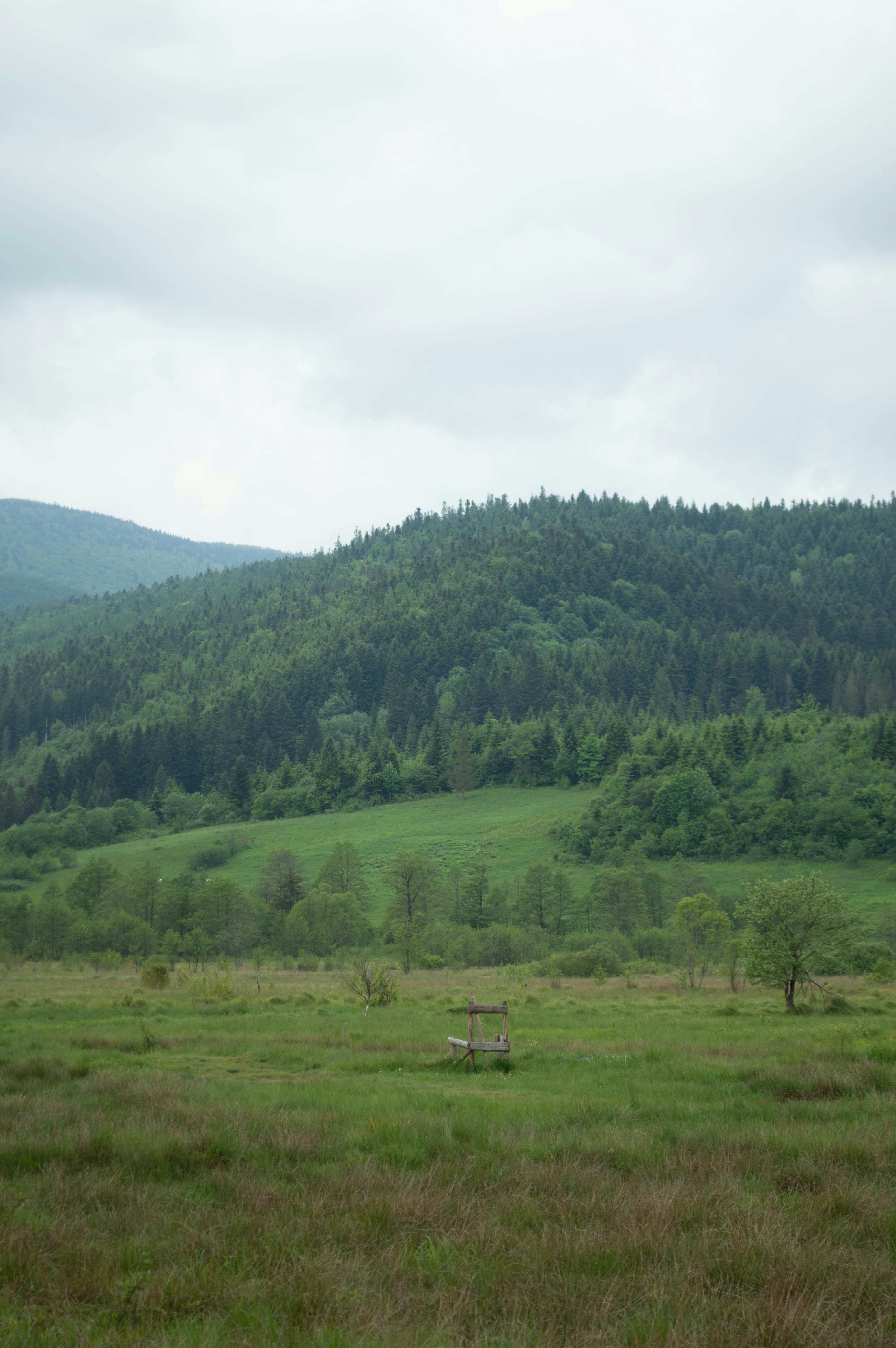 Photo by dmytrodovgan