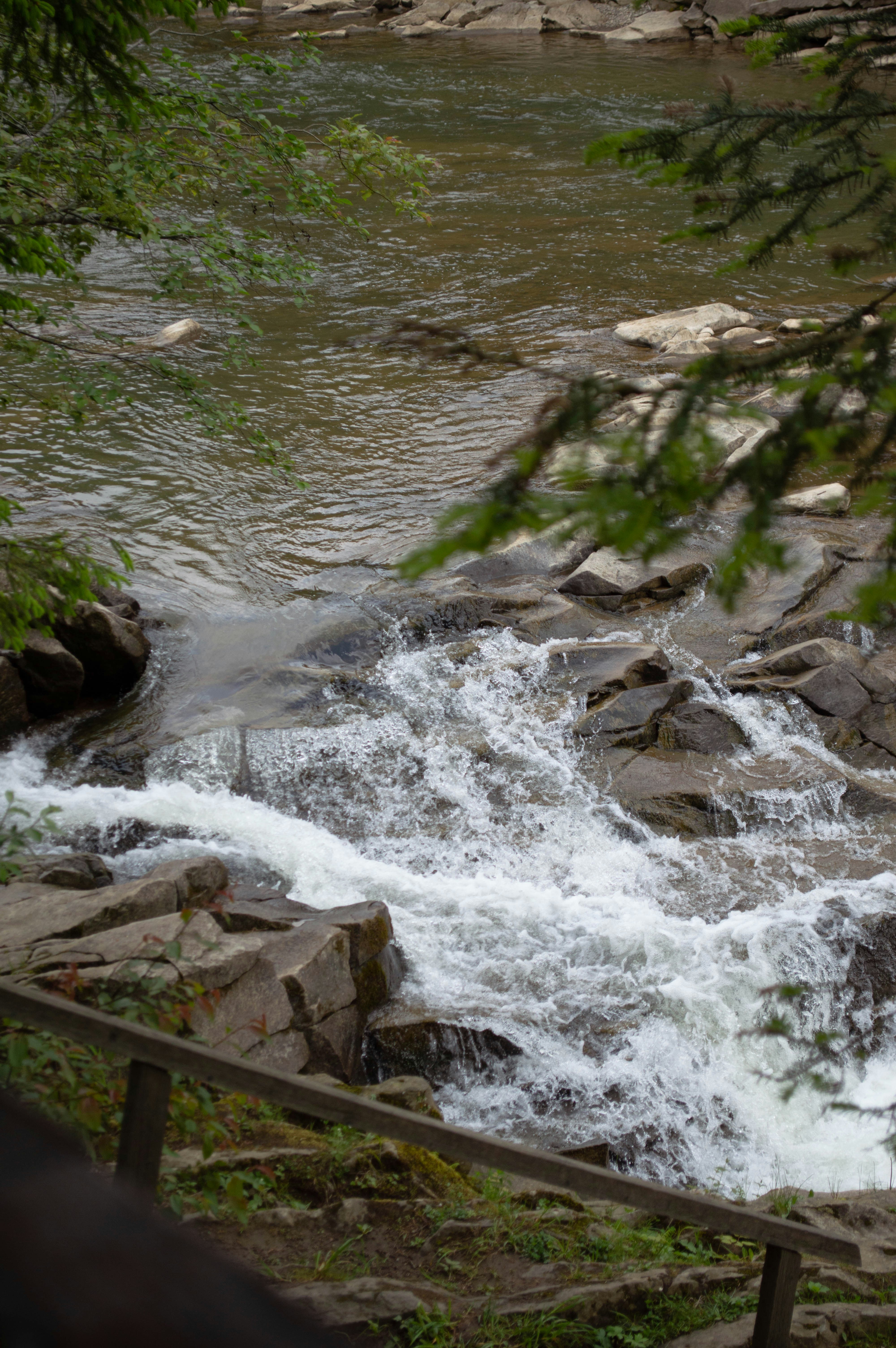 Photo by dmytrodovgan