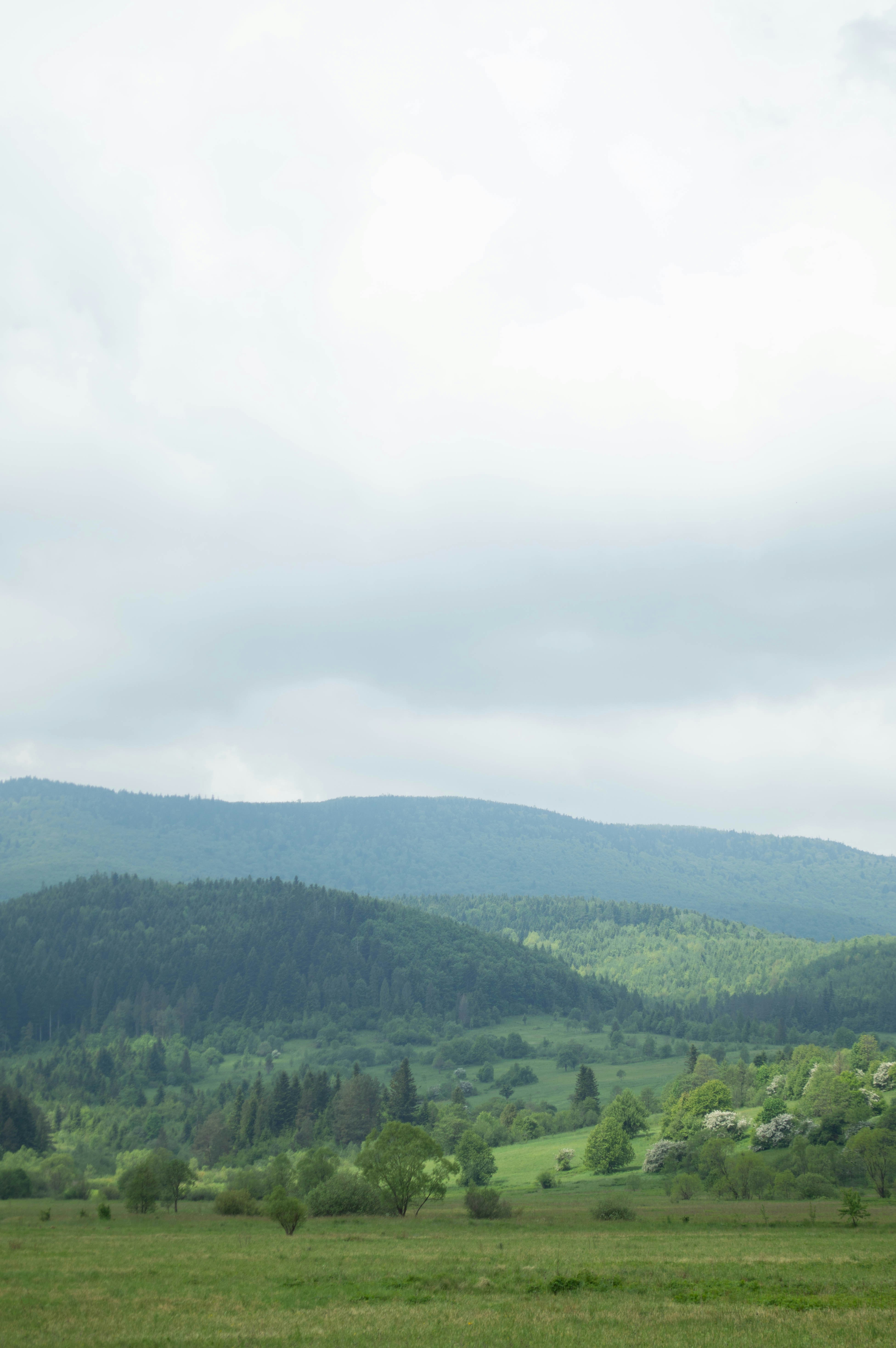 A green field with mountains in the background