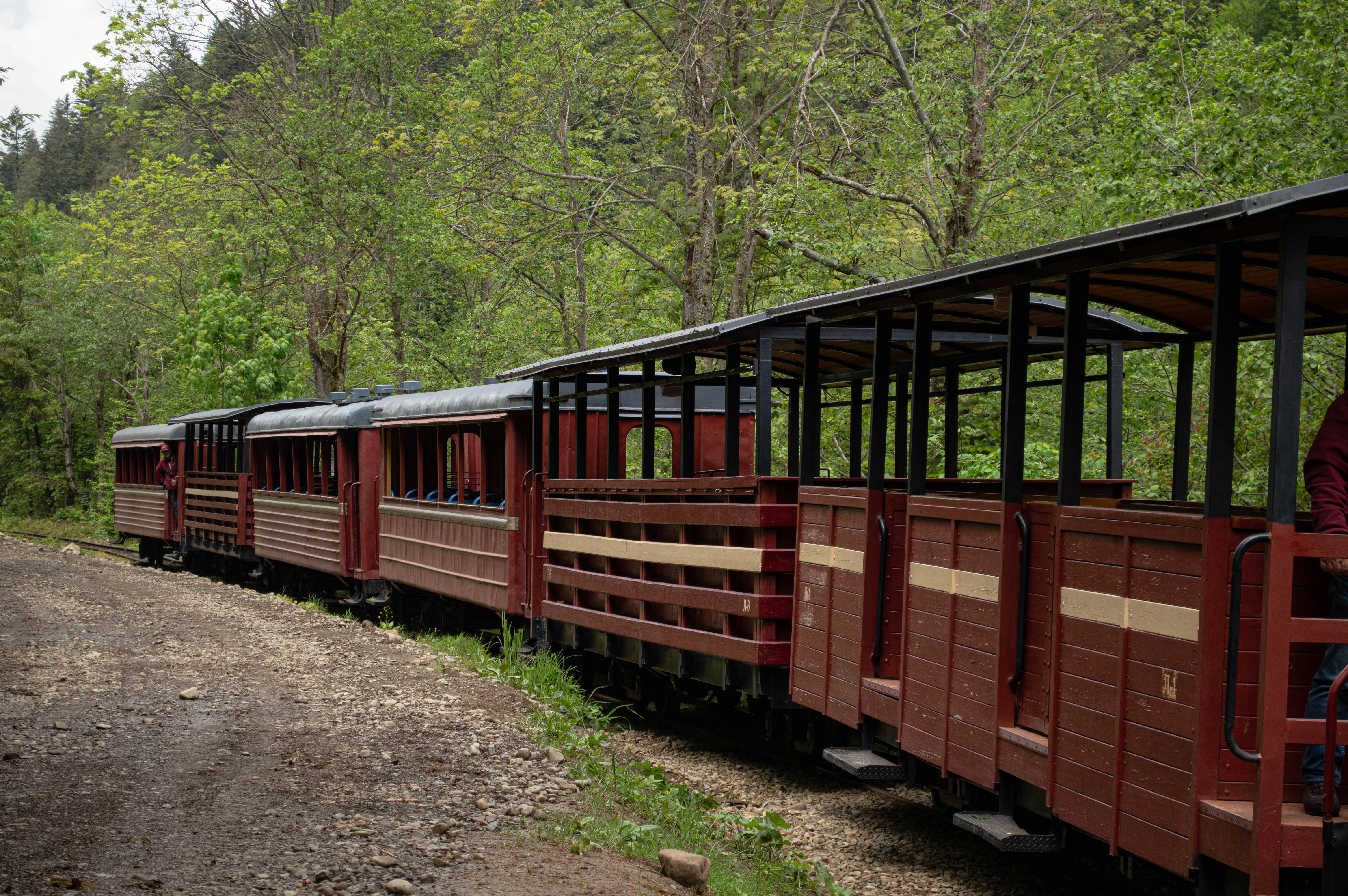 A red train traveling down train tracks next to a forest