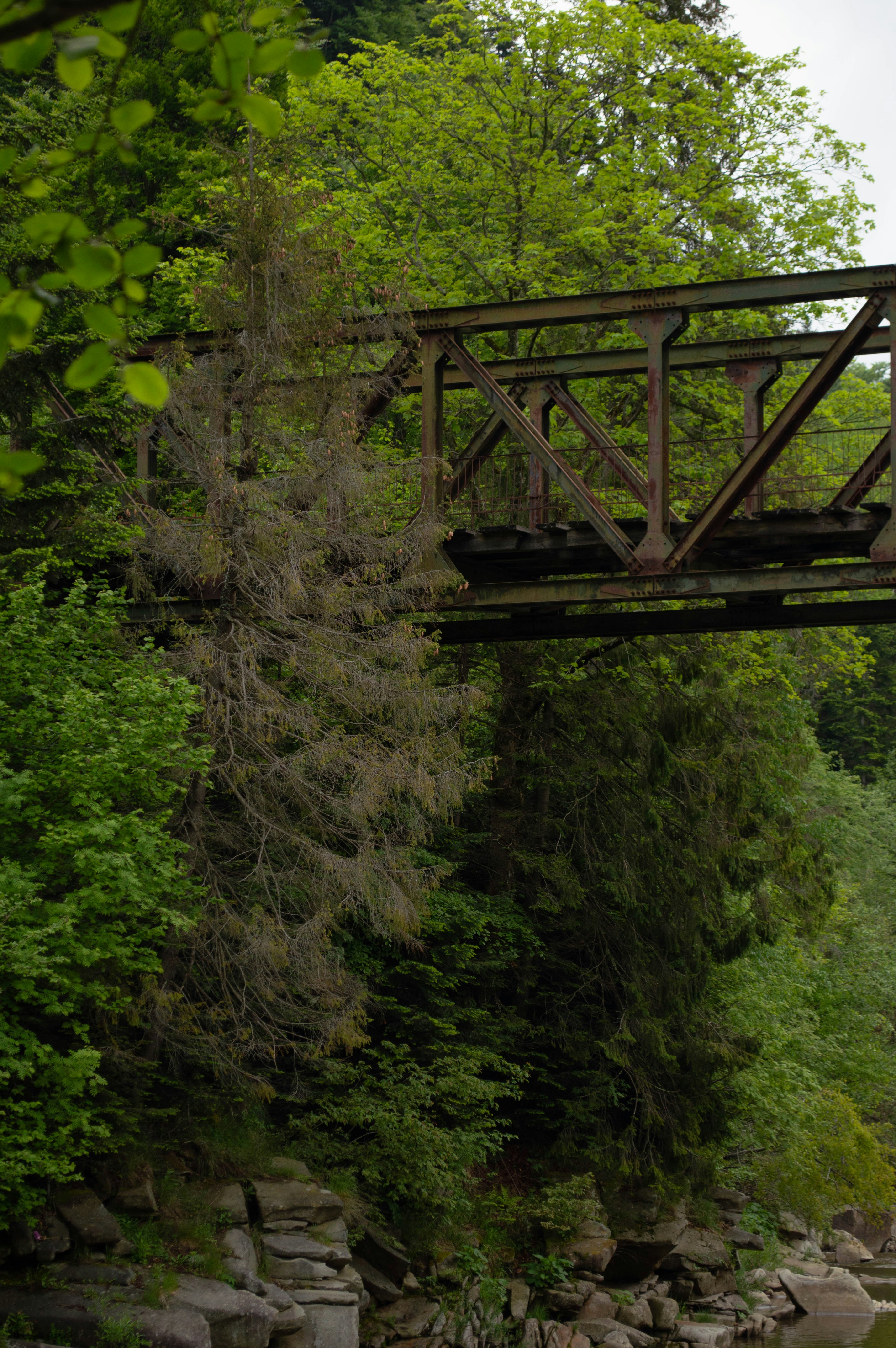 A train crossing a bridge over a river