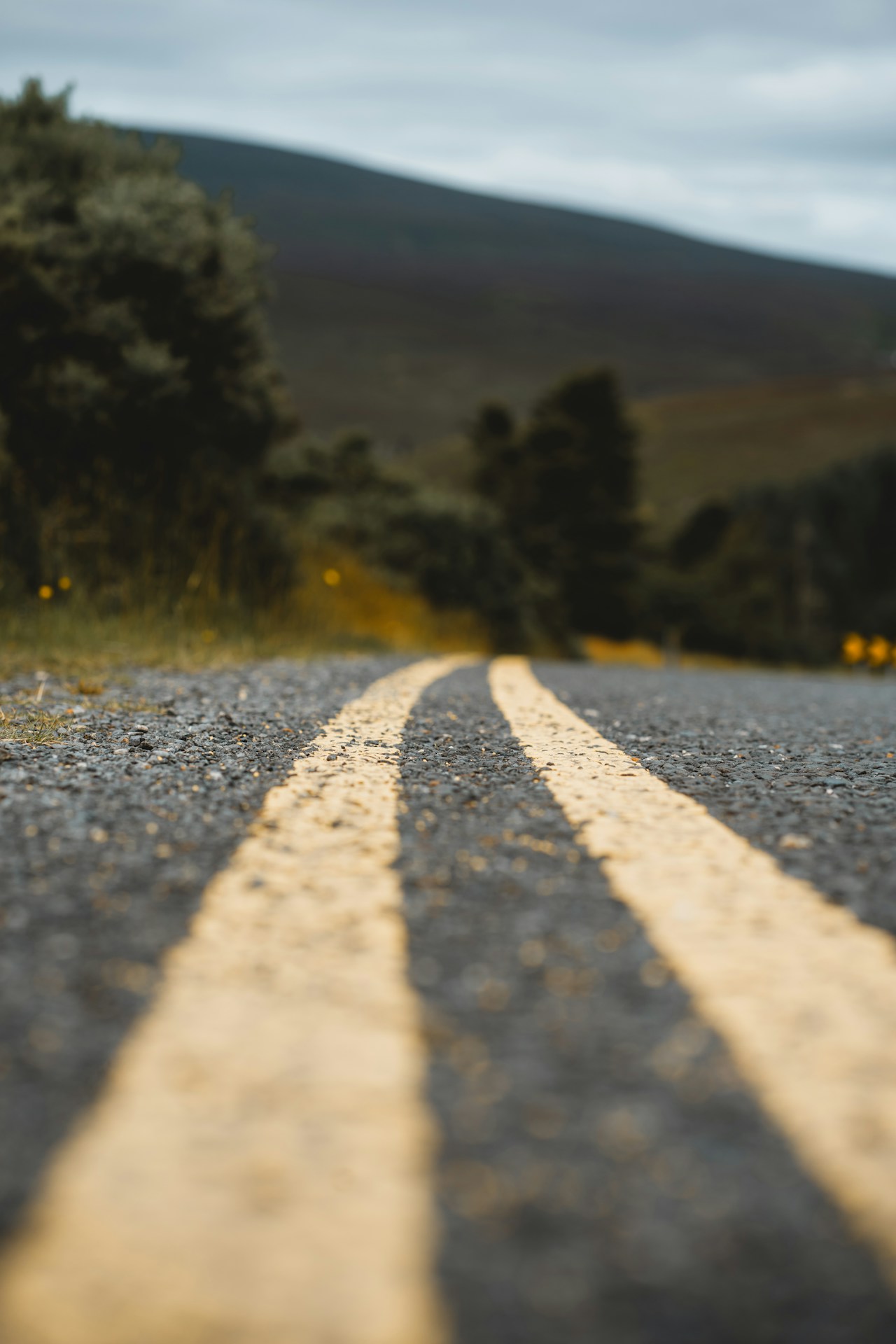 Double yellow lines on a dark road surface