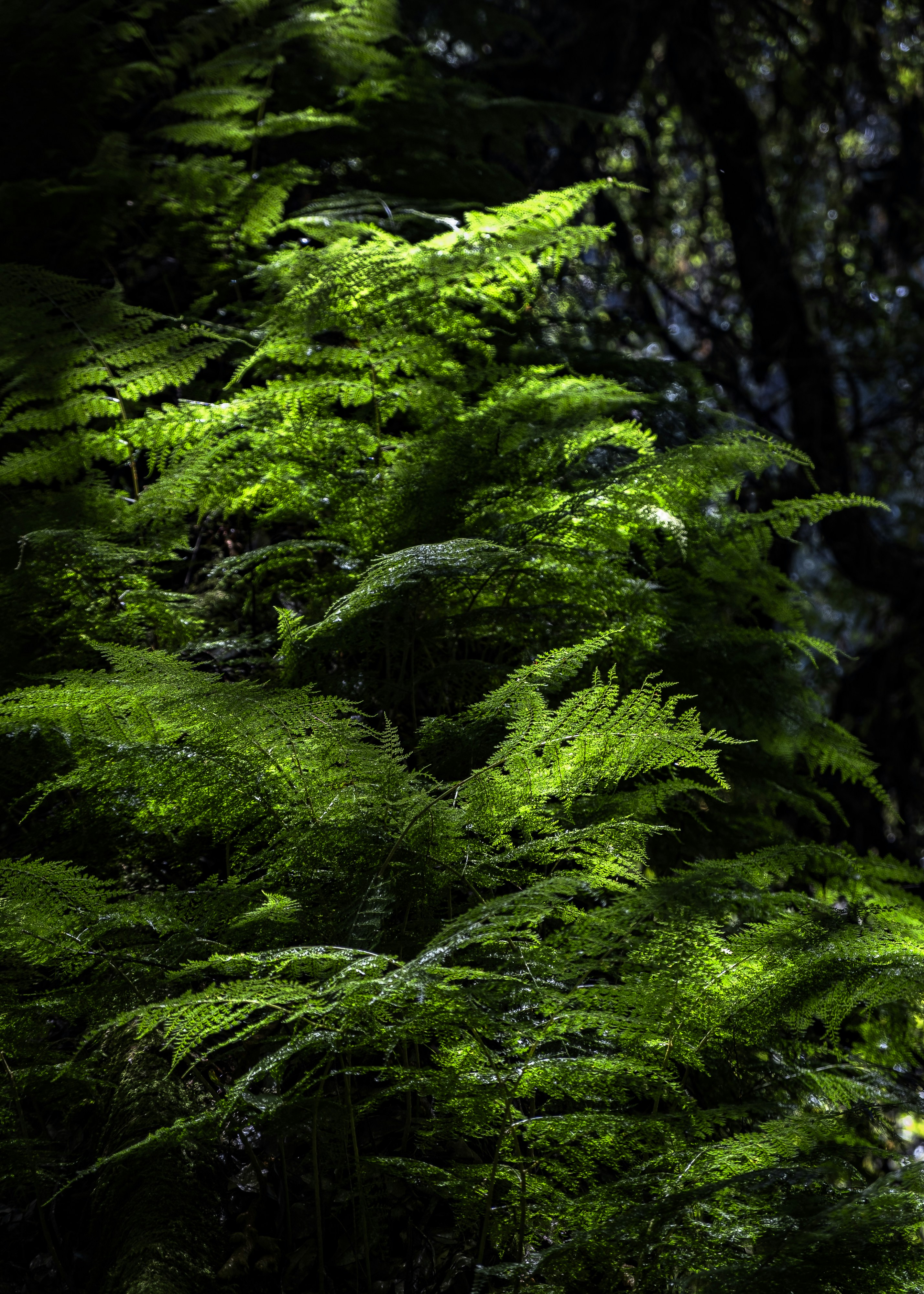 Photo by rbgphotographer