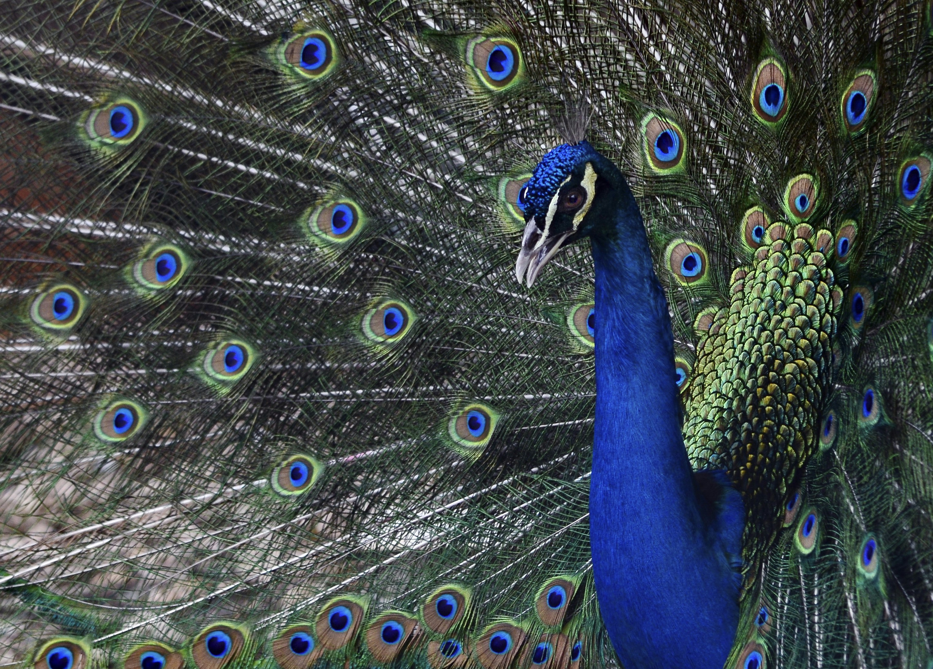 Photo by haidaralkhayat_64