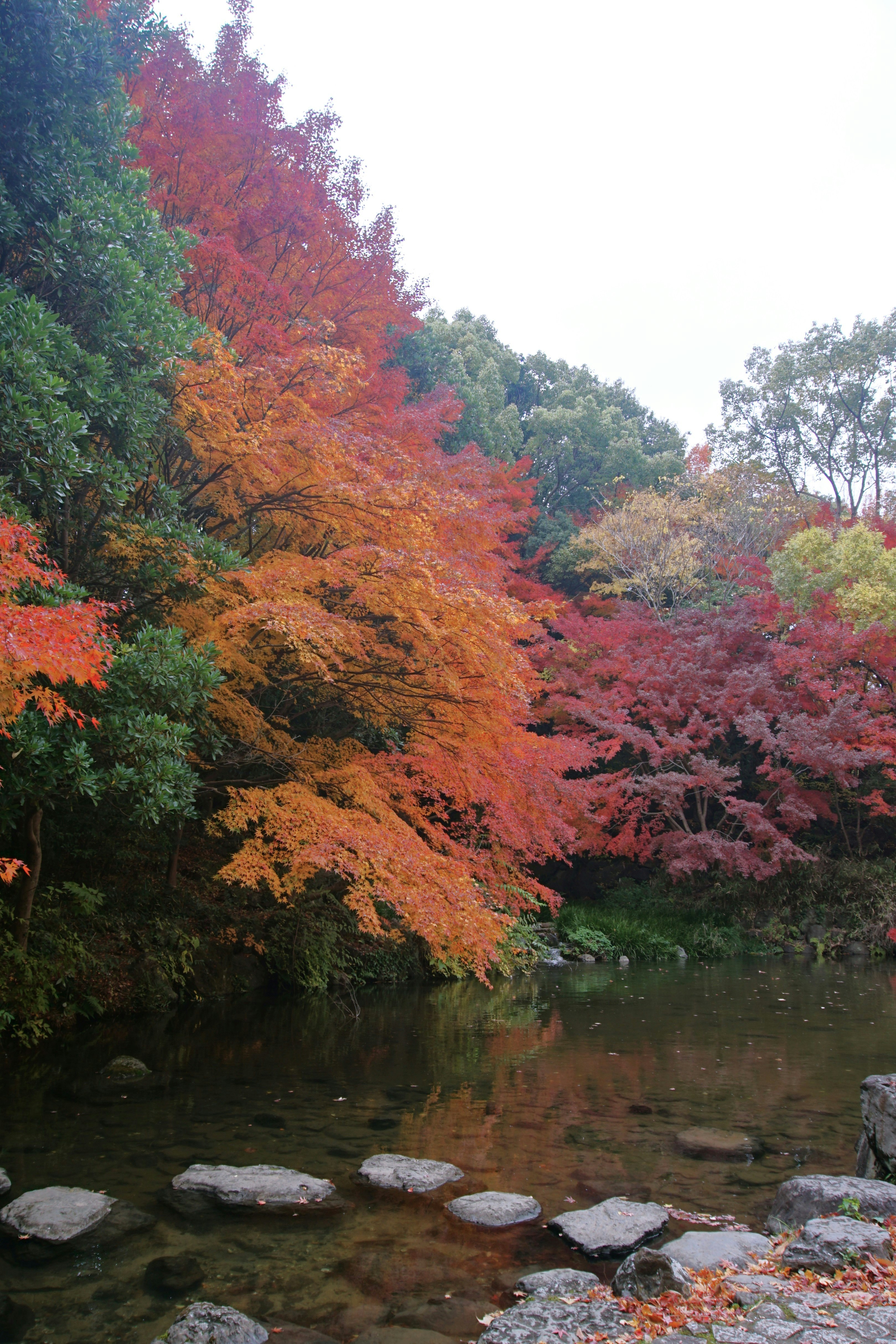 Photo by syadzasalsabyla