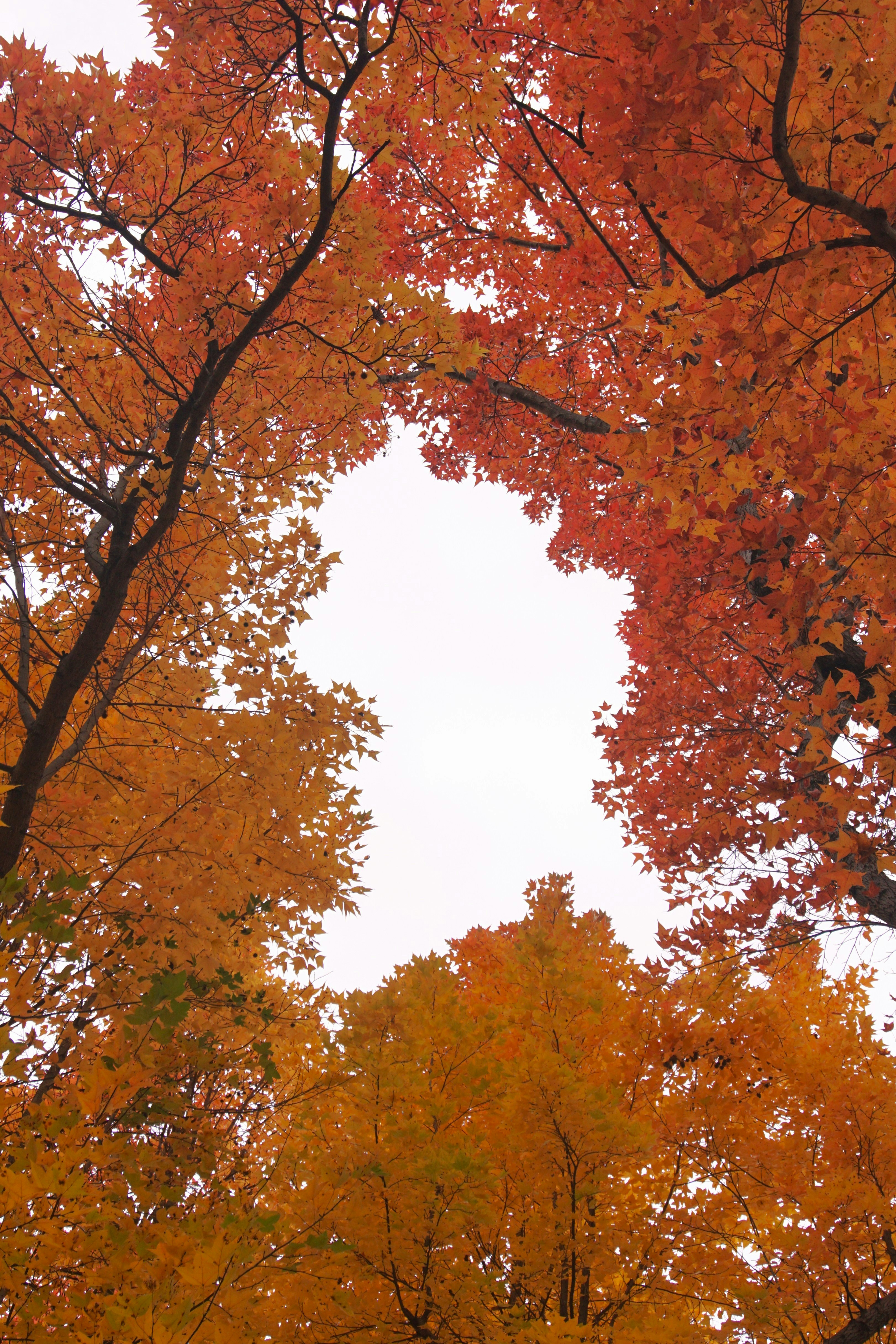 Photo by syadzasalsabyla