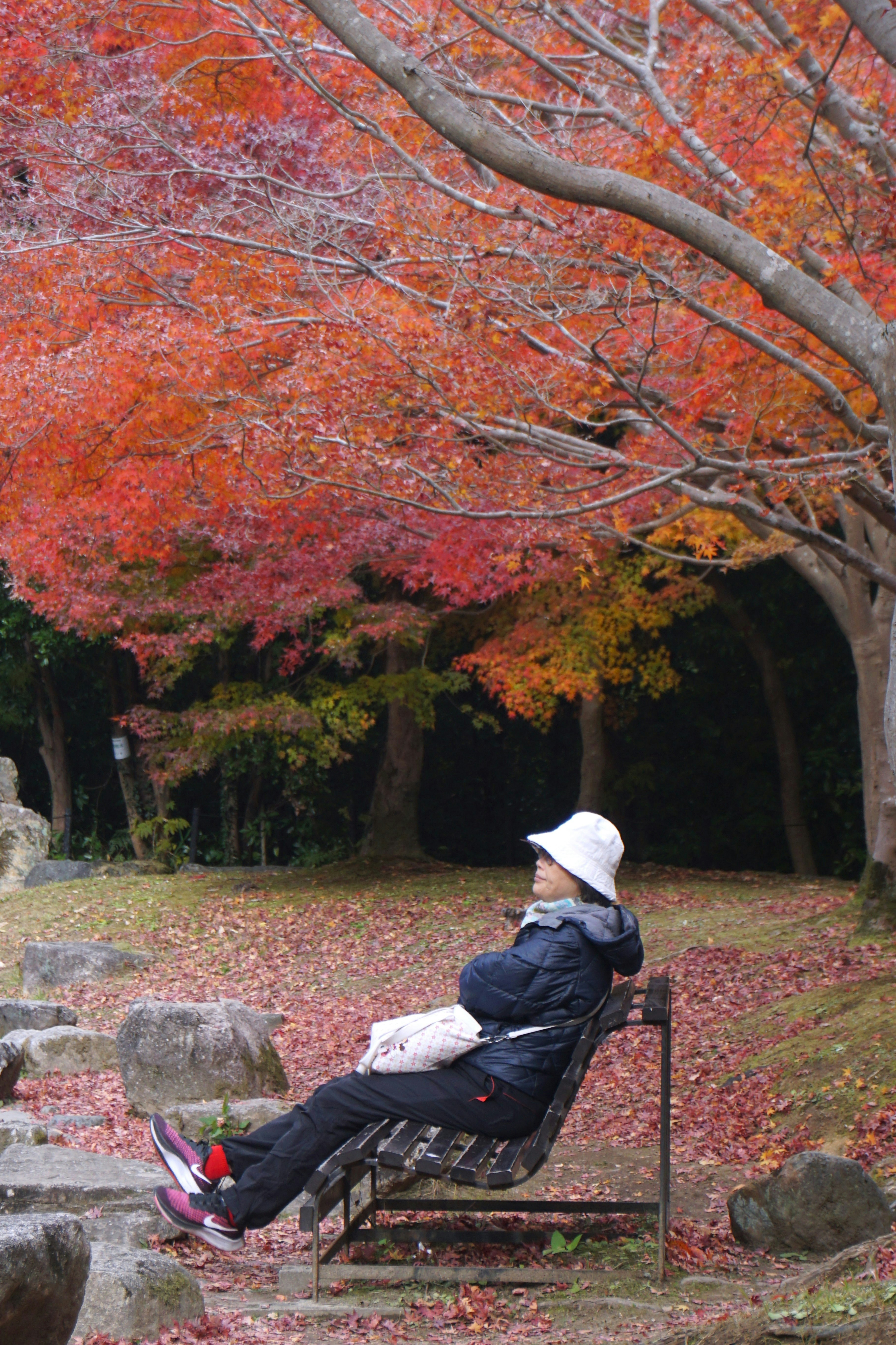A person sitting on a bench in a park photo – Free Man Image on Unsplash