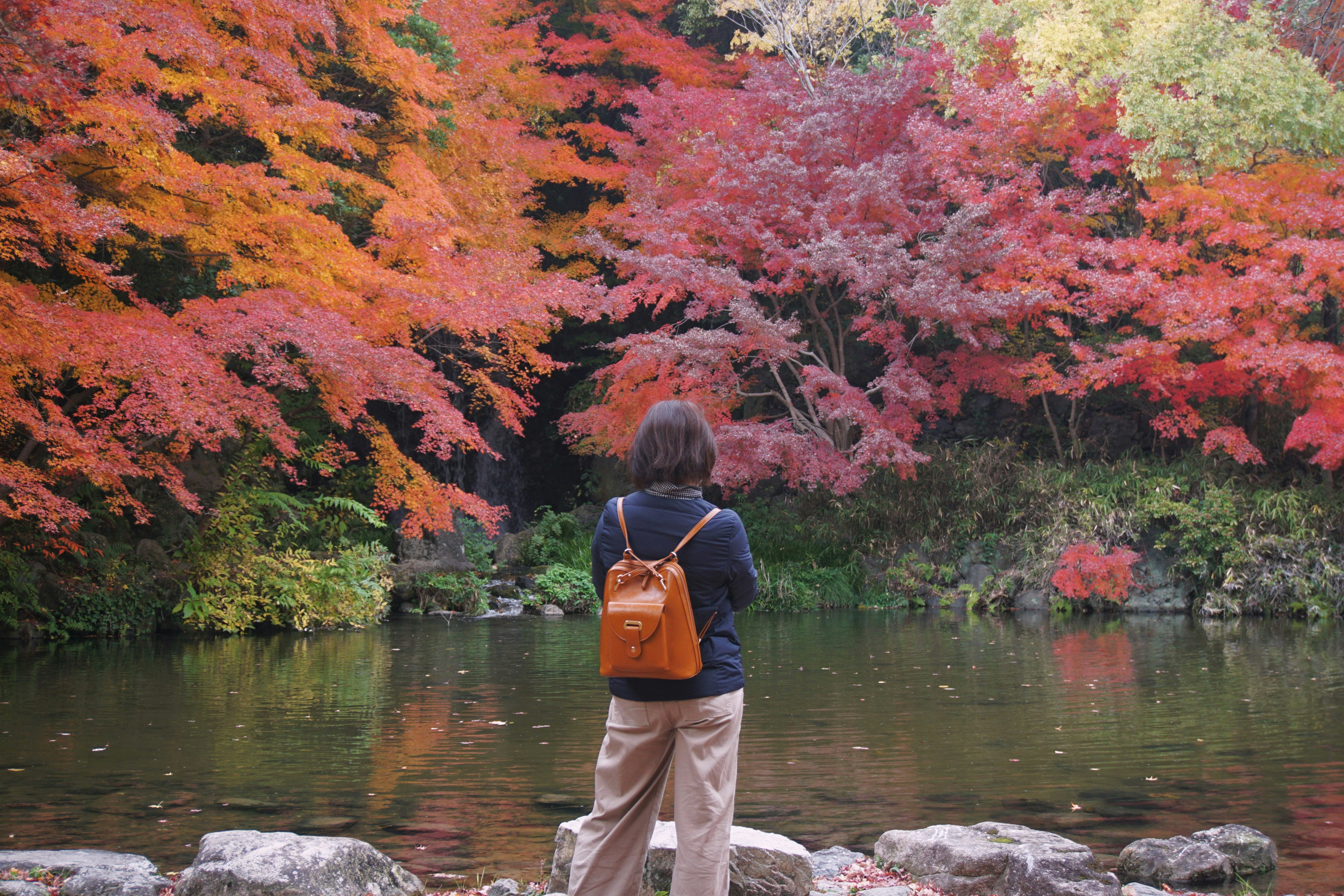 Photo by syadzasalsabyla