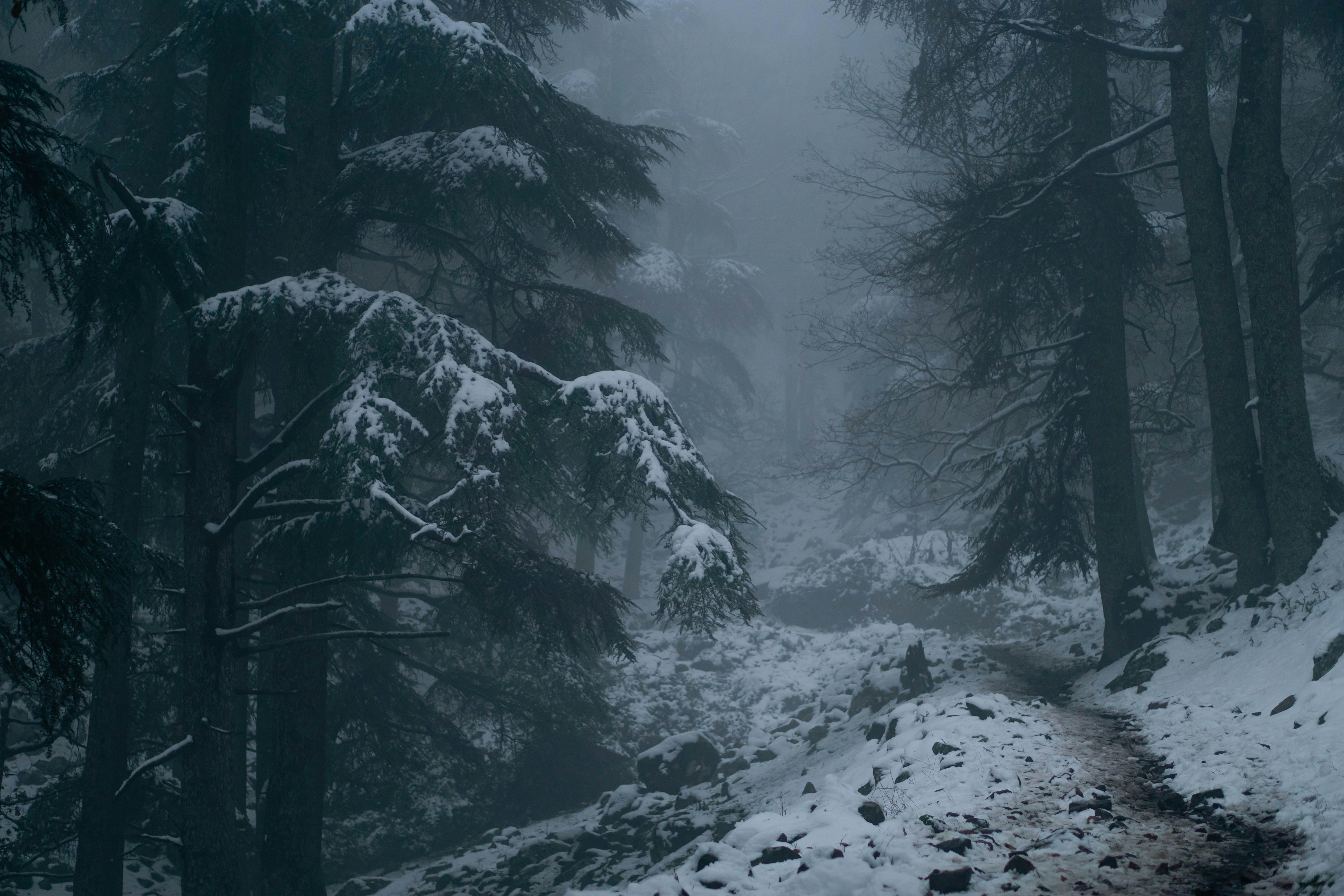 Photo by adleneamiti1