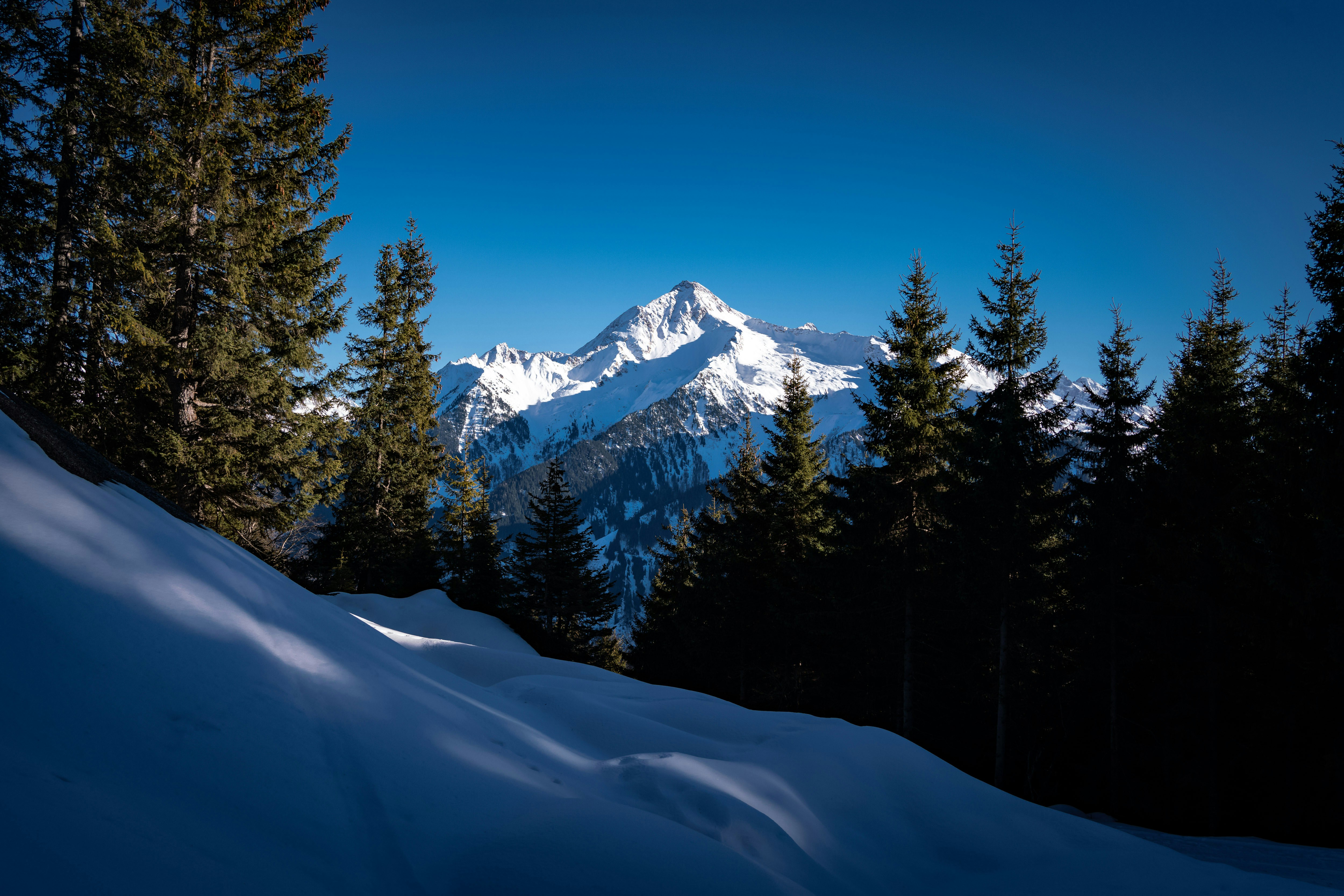 Photo by michaelfousert