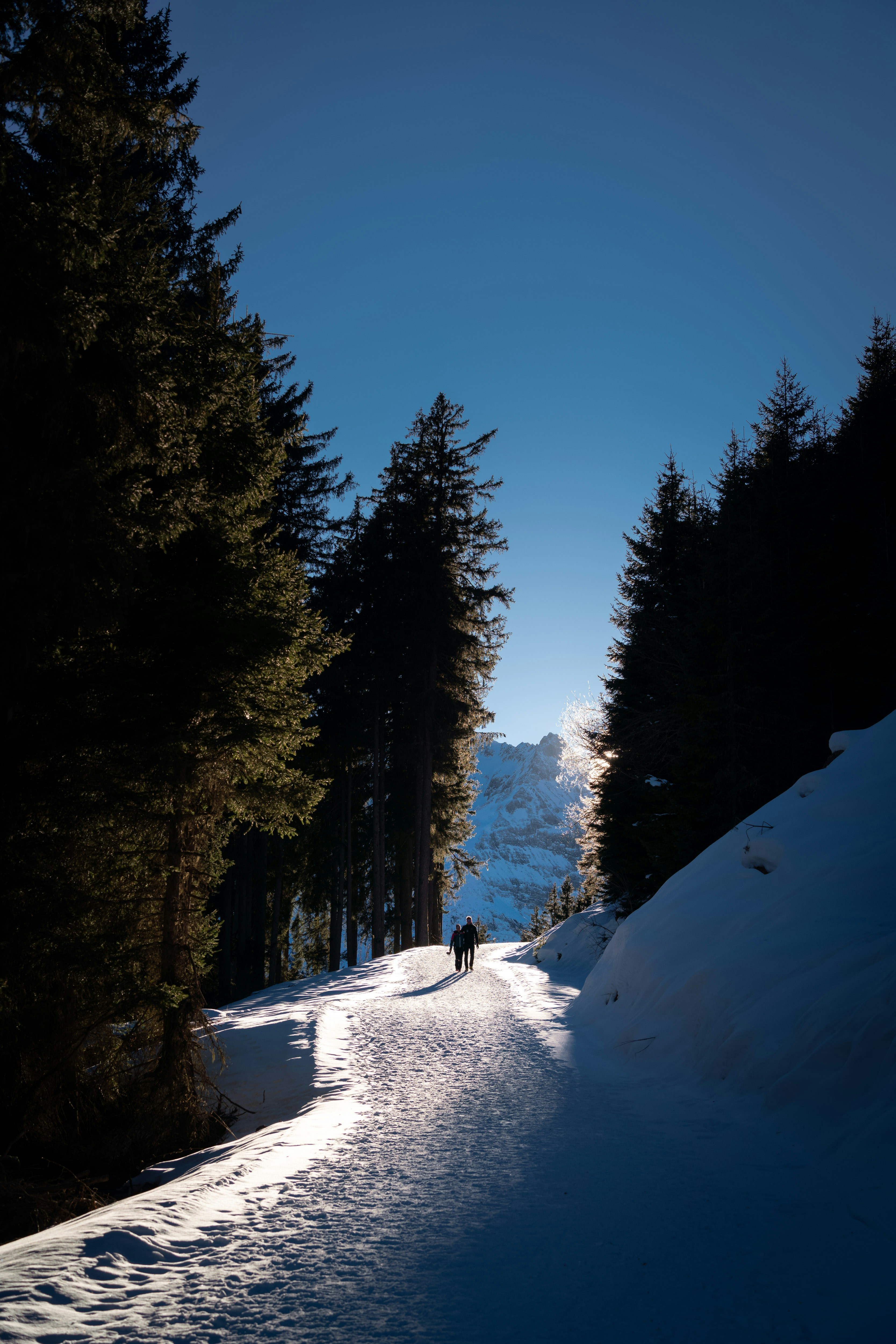 Photo by michaelfousert