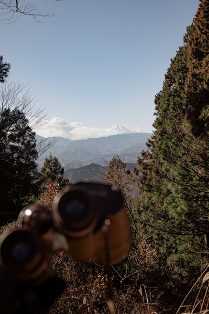 Japan Hunter Gun License Ruling: What 7 Years of Fighting Back Reveals About Your Personality Type