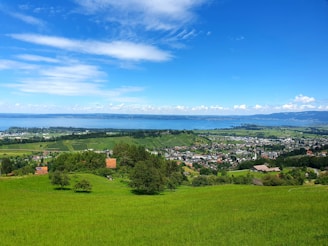 A lush green field with a view of the ocean