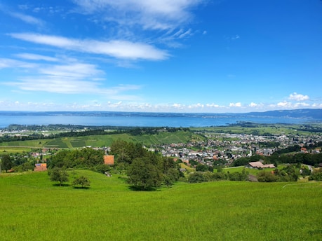 A lush green field with a view of the ocean