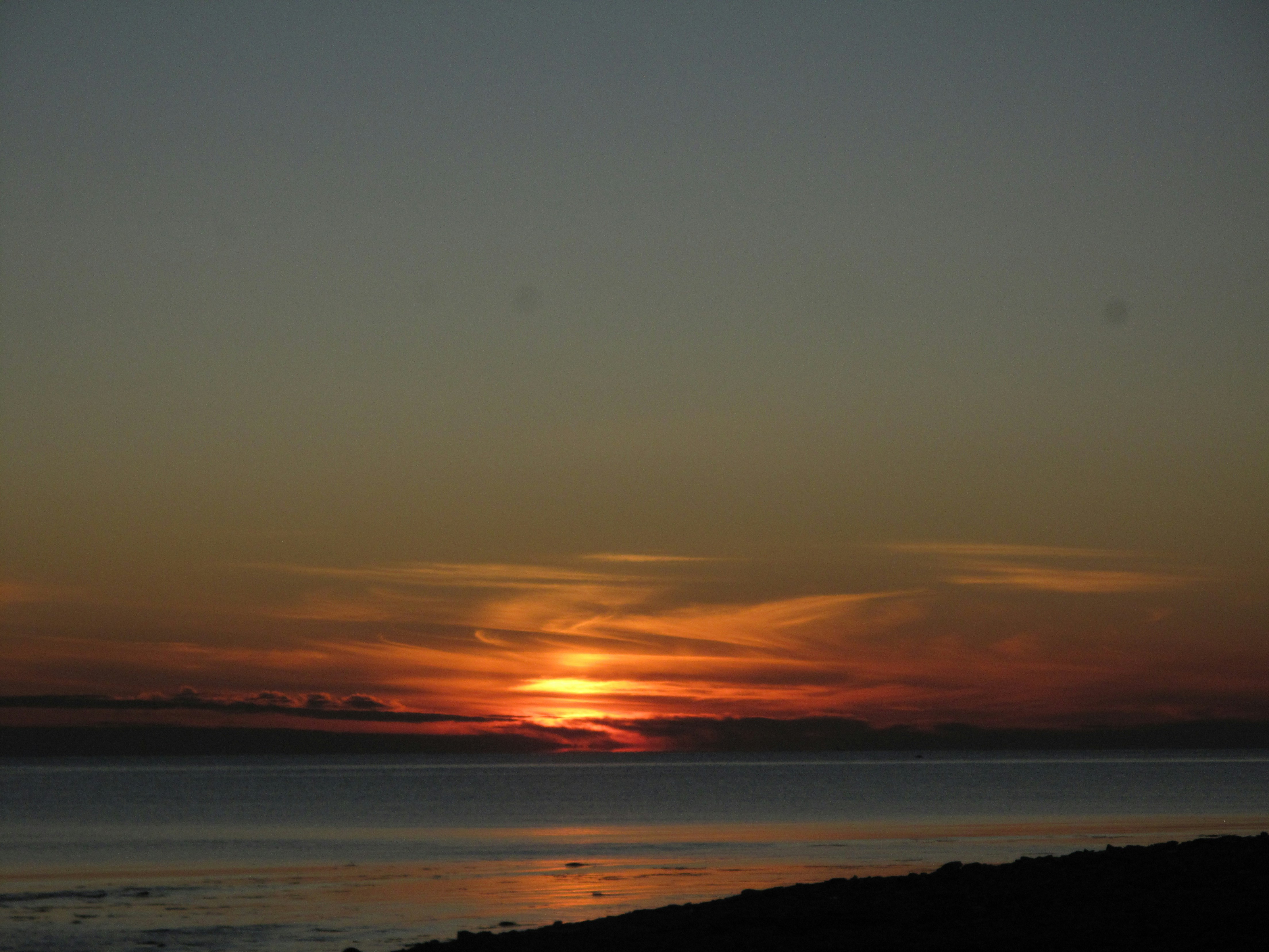 Photo by clupeonella