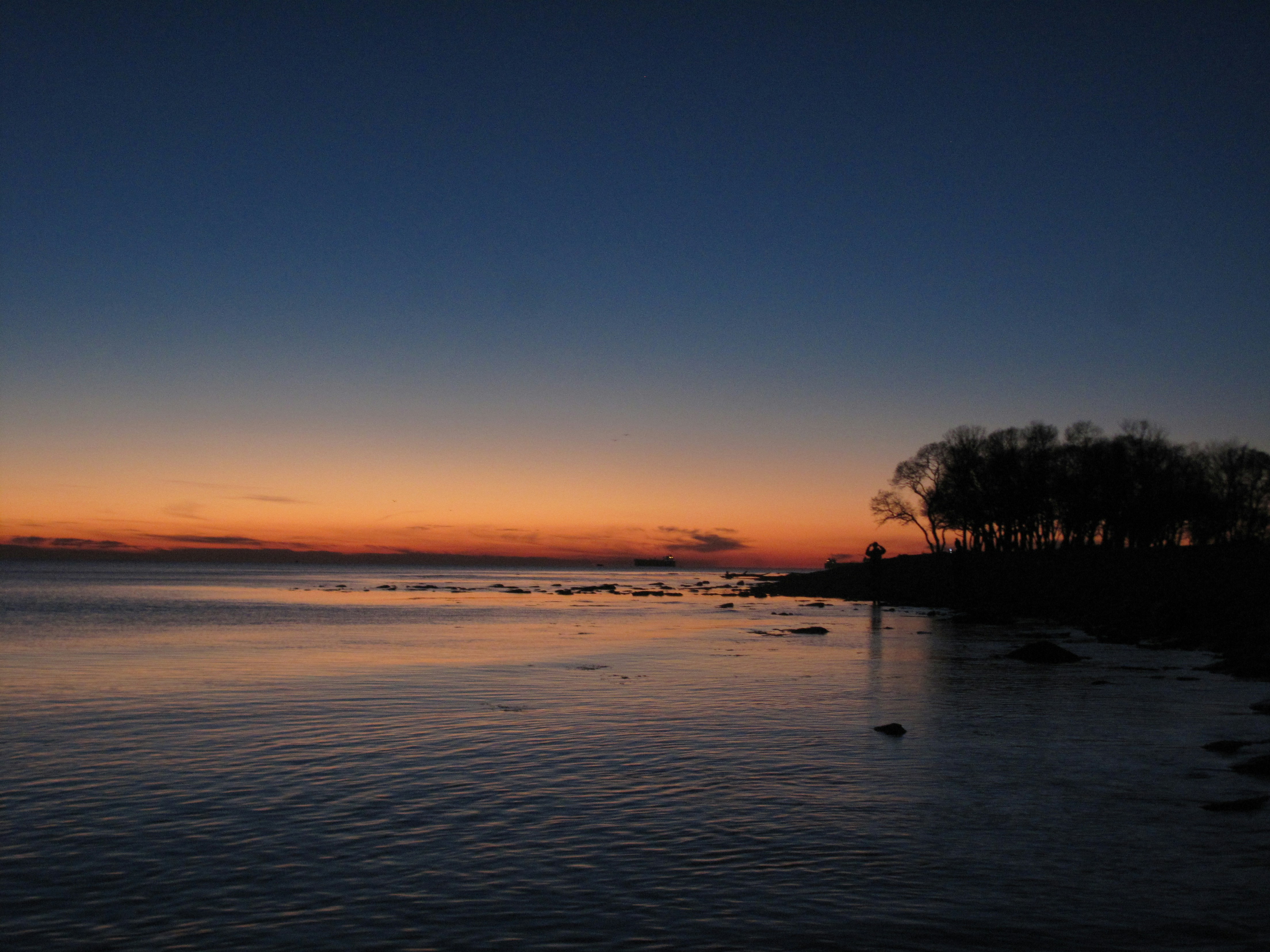 Photo by clupeonella