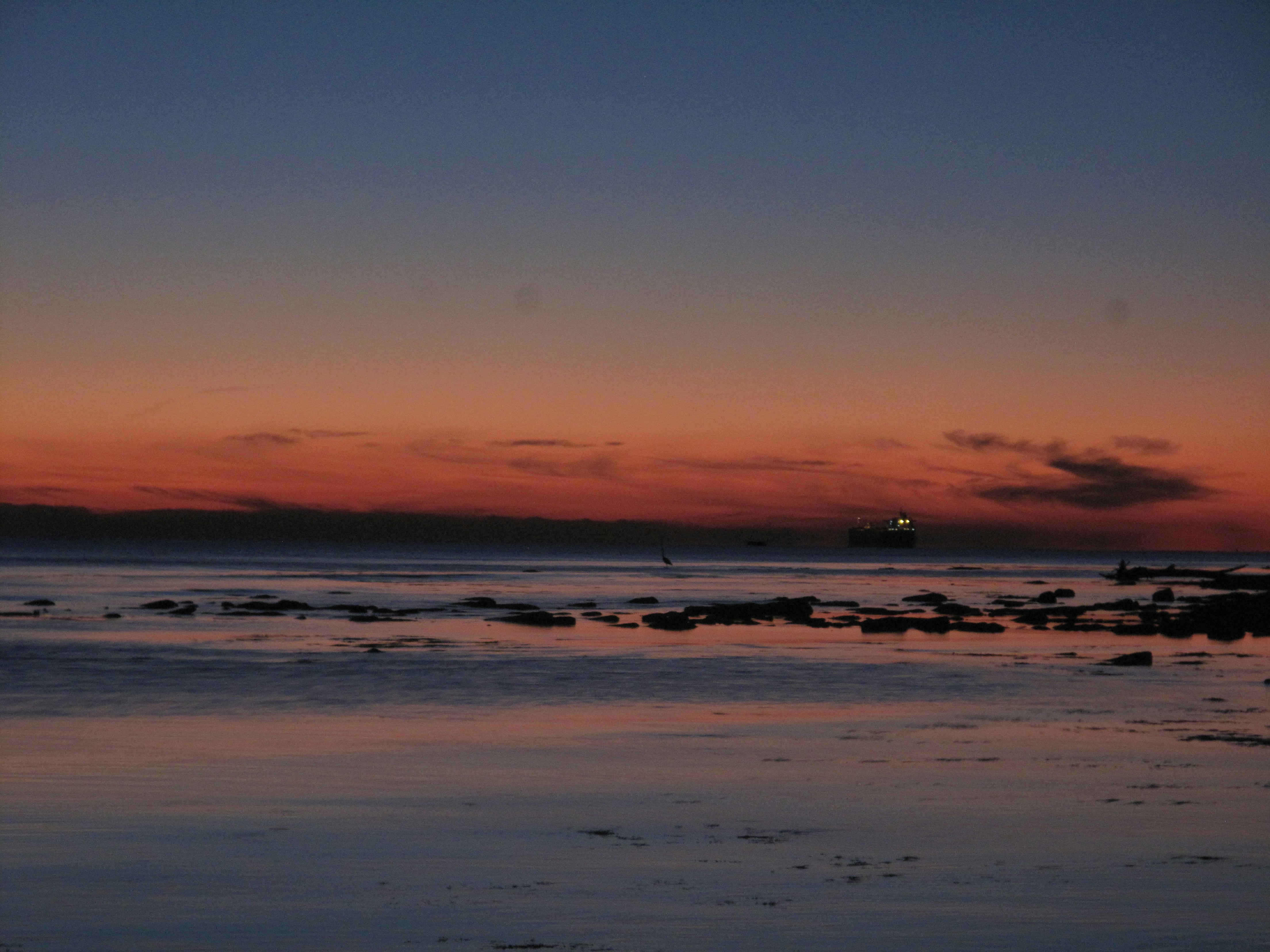 Photo by clupeonella