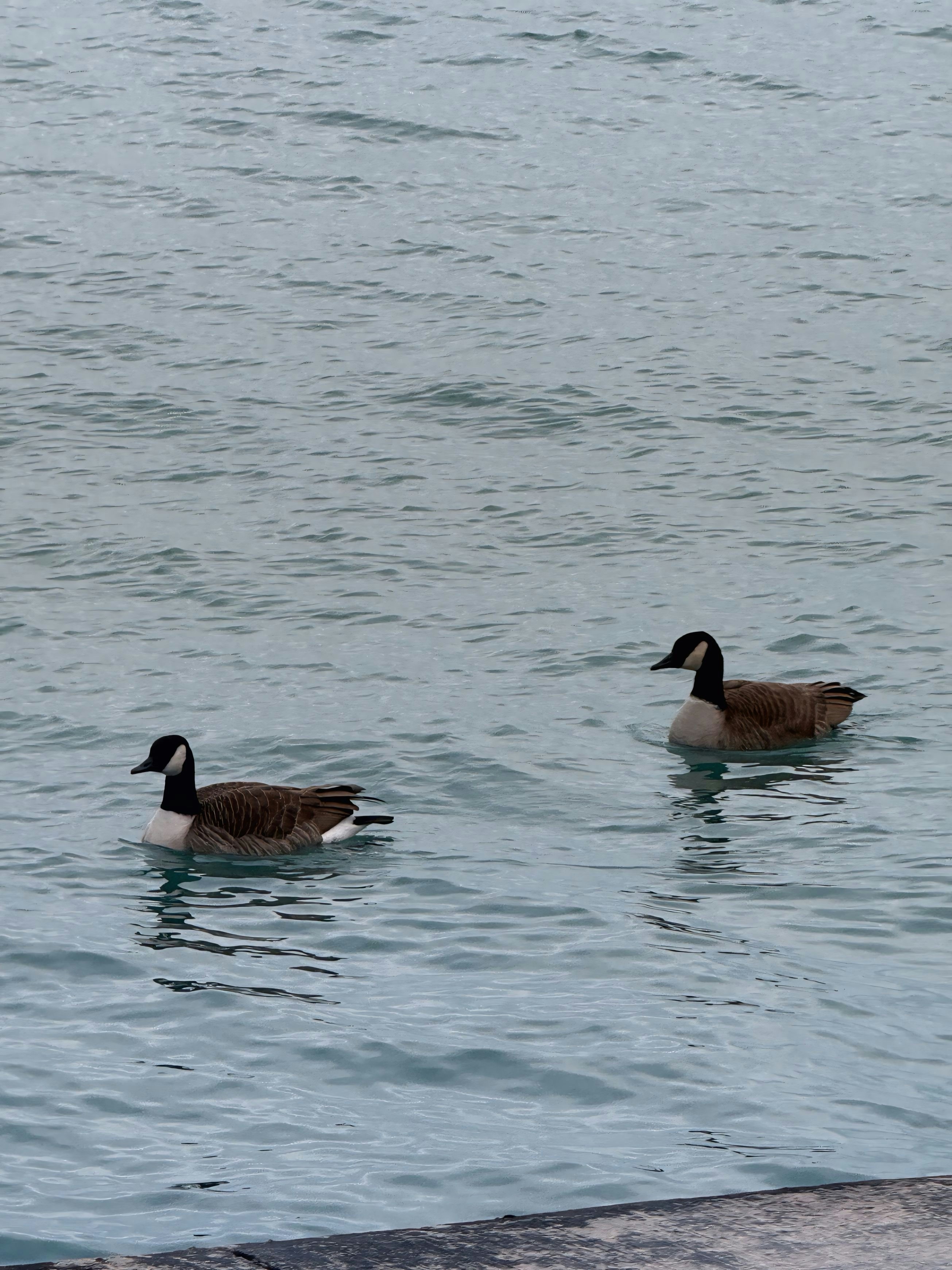 Photo by leemargaskin